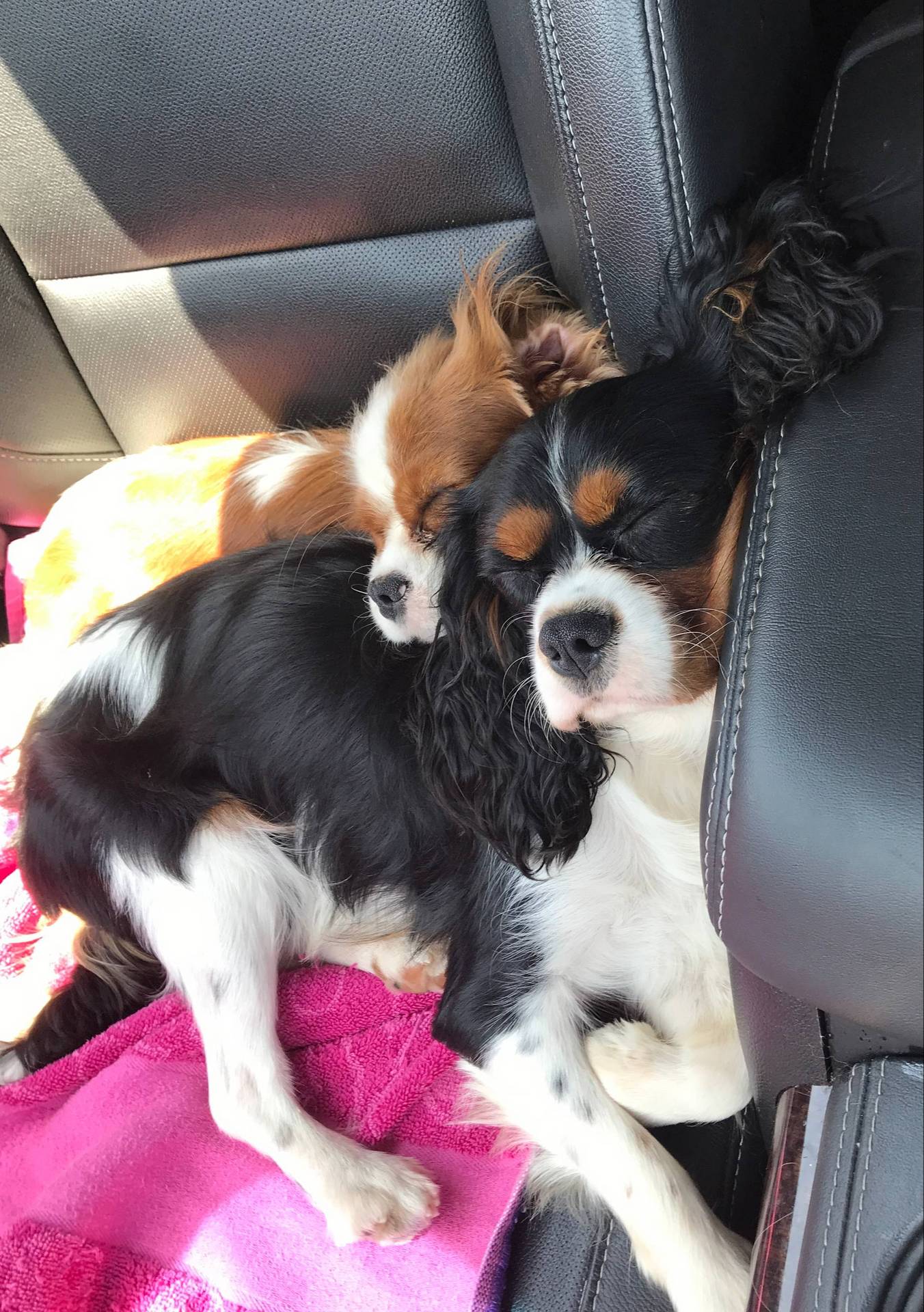 0566b365-1424-4e74-8fce-a4bc95820366/facility/054f8068-c91e-4c41-963b-383111238729