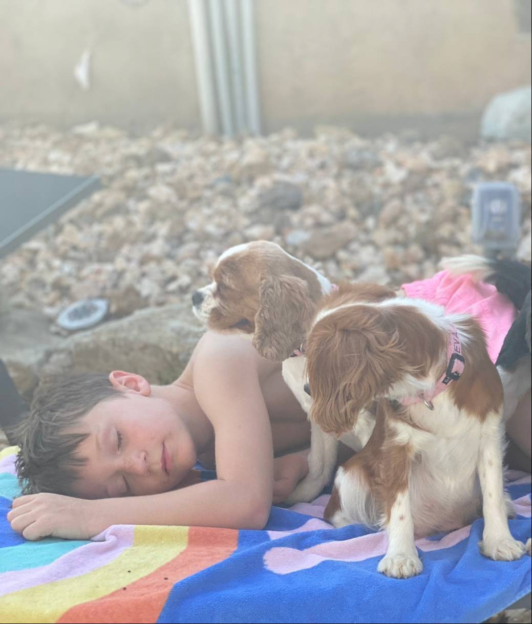 0566b365-1424-4e74-8fce-a4bc95820366/facility/81a96646-29bf-4d20-bc77-a5fe3d8f3381