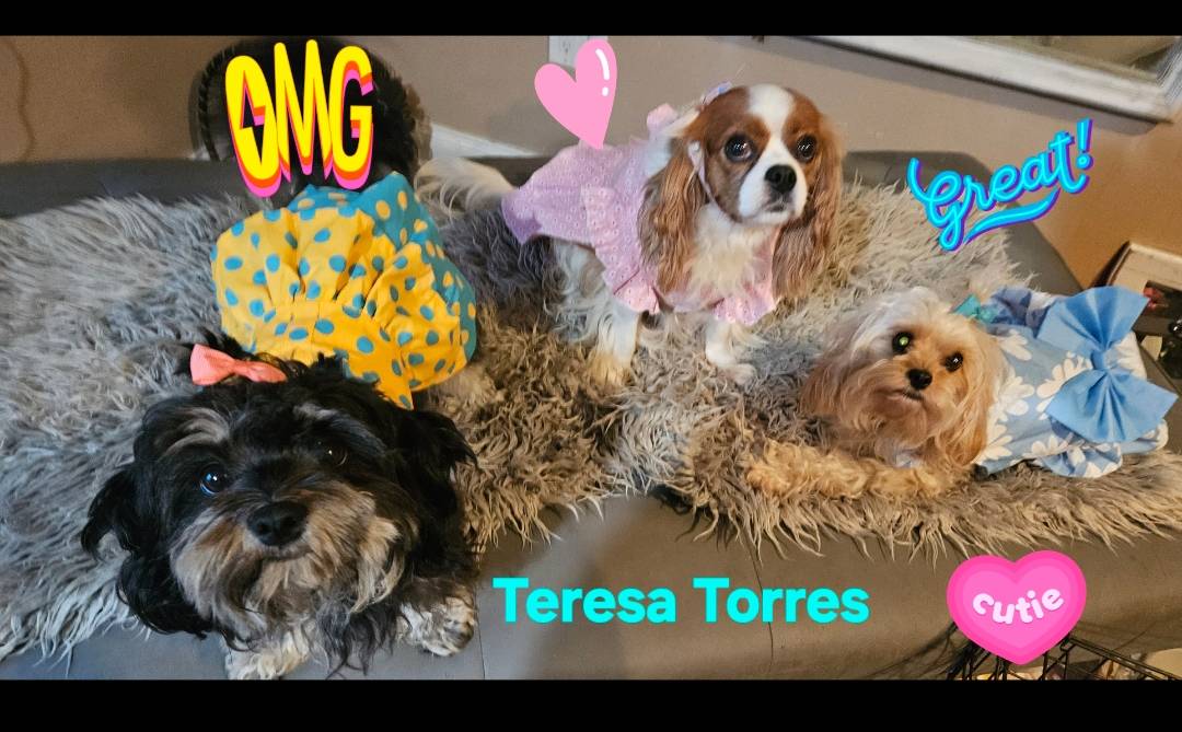 05a7c1d7-d927-4018-b4c6-707fabe9e57c/facility/7af3c68b-a680-433d-adfb-f88275dca5b4