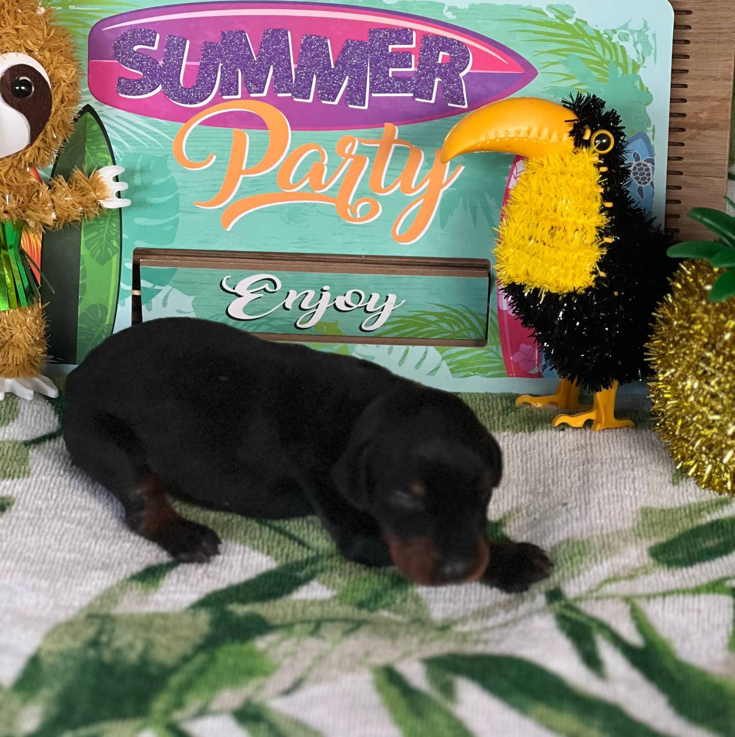 0ce61a55-d3ed-4a79-b643-bcfe221d6ab4/listing/2e5f5d60-1efc-4138-9814-248ded58f4d9/3e41afa5-dd9e-4117-a1ca-0c01d37edb63