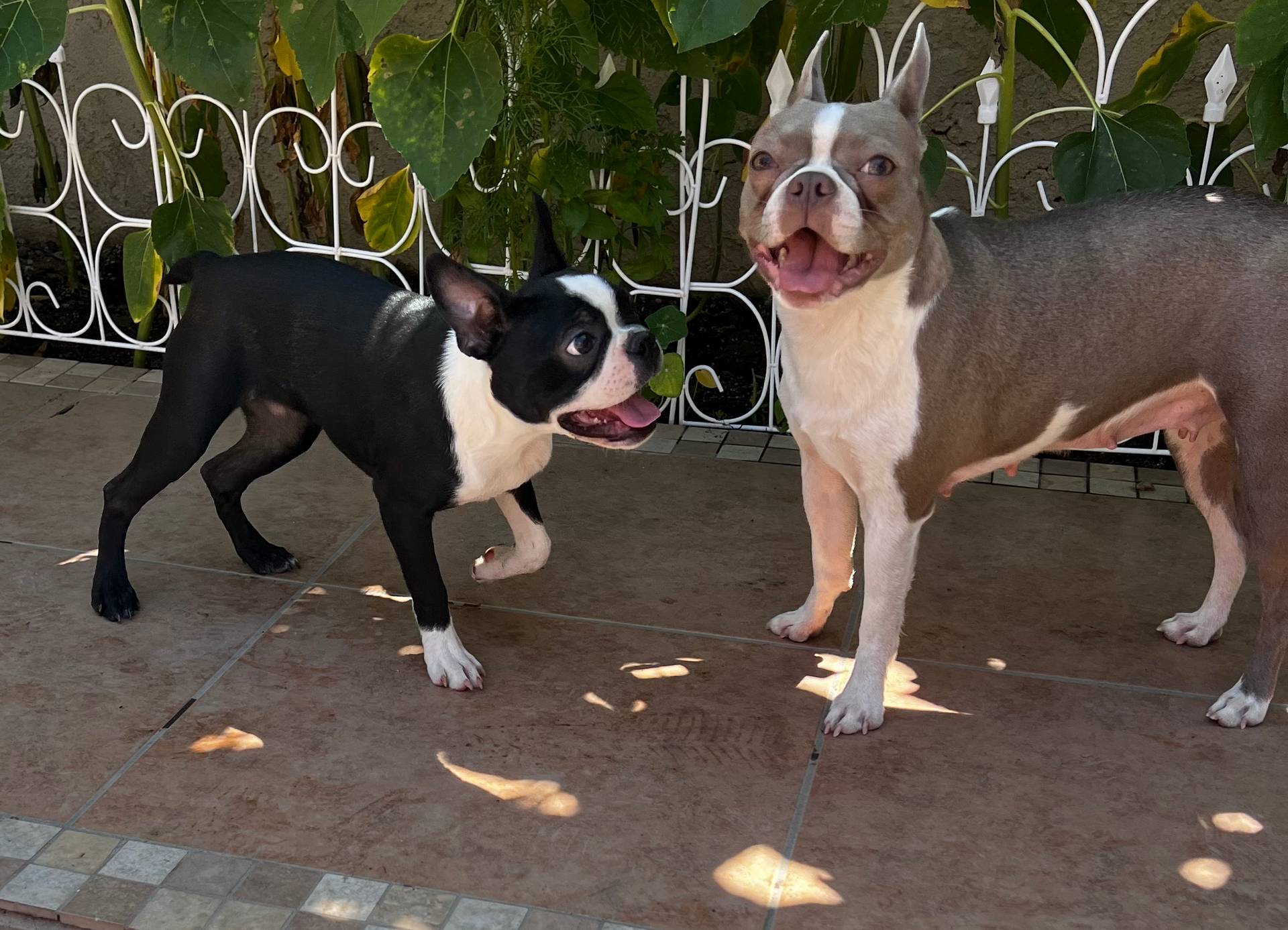 12c87e7b-cb86-46de-b201-35078f817aa2/facility/ed61fa90-b3a2-47b0-b404-d334b3e2360c