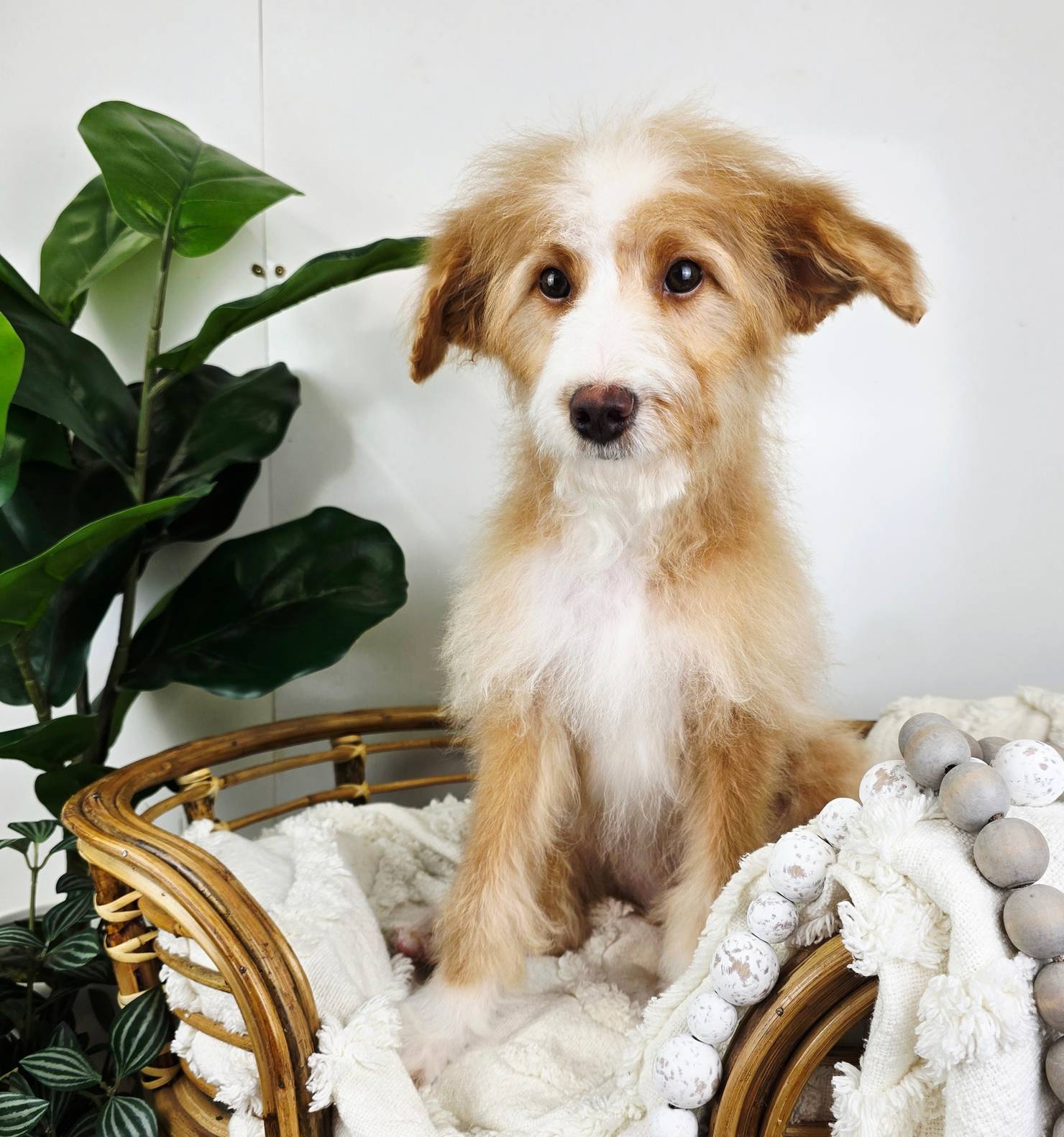 1359d0c6-9e36-434a-a6be-056c10572152/listing/8694e404-e50b-44f5-8006-58e908a40a26/10c72168-67d0-4687-8b35-ffe0138a32e3