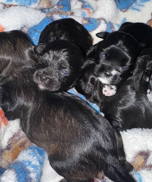 15b8a6ee-c481-4183-8939-44816afb4231/facility/3ff23a6a-81bc-46e3-abbf-d87ad2894e06