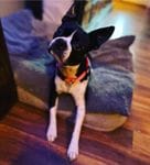 17bebb1b-6306-40a9-a84a-d9a82d8ad3b7/facility/7090a0ba-064e-4781-ae42-75f89f4afb18