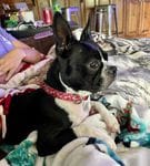 17bebb1b-6306-40a9-a84a-d9a82d8ad3b7/facility/c95b55ec-9f7f-45ed-8c07-b5f3f379753d