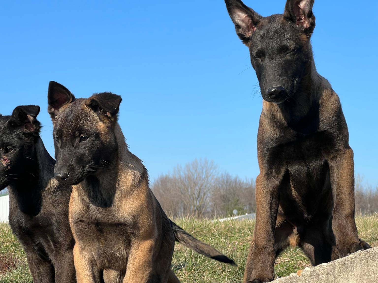 17fec328-e62e-41e4-bb6f-b78f92a5b86b/facility/ac4b231b-914c-42d9-a7c1-a735c40e2ae6