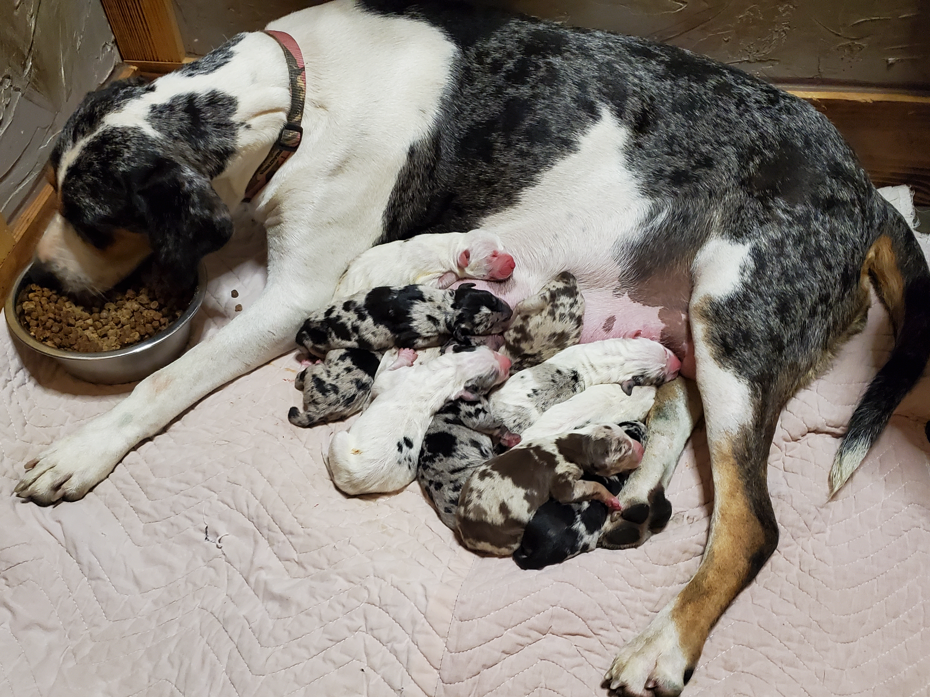 1e3b1d4c-fd91-4d21-8f4d-f96ad5e3b4ce/facility/601efdfa-673a-4721-be31-7763e31c86fe