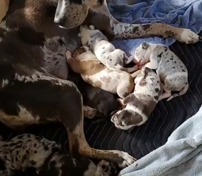 1e3b1d4c-fd91-4d21-8f4d-f96ad5e3b4ce/facility/6fbe70e5-431a-44f8-ba91-29be3c4596e6