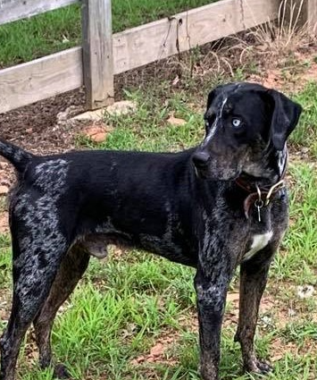 1e3b1d4c-fd91-4d21-8f4d-f96ad5e3b4ce/facility/987737ad-180e-46d8-9e9f-1b92f65a149c