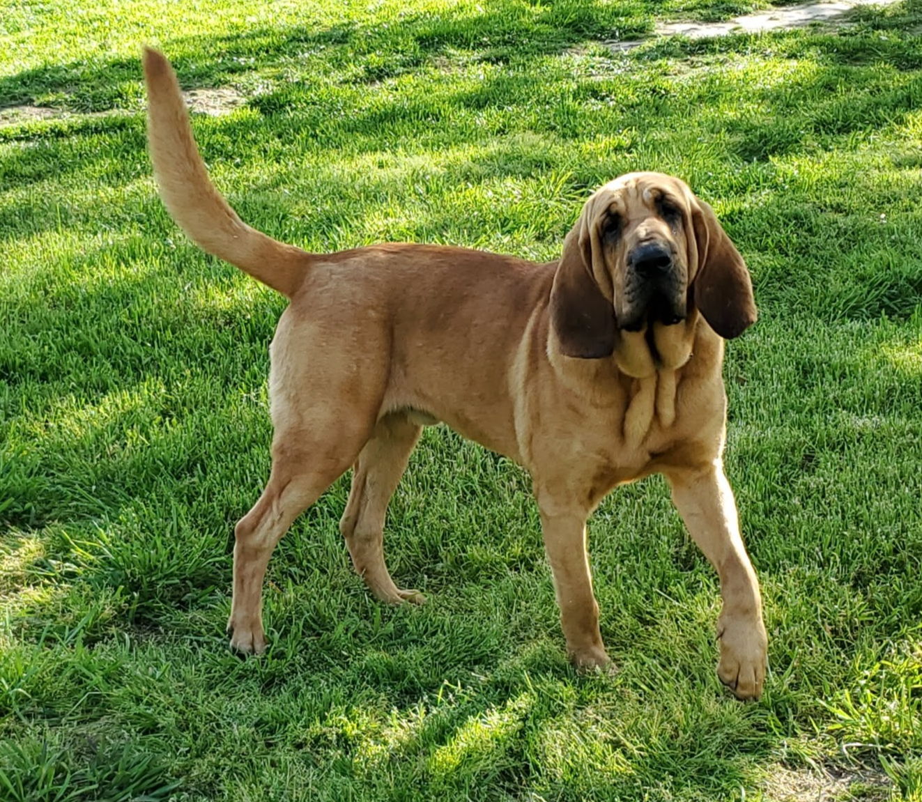 1e3b1d4c-fd91-4d21-8f4d-f96ad5e3b4ce/facility/9e1f8c43-283e-4128-9111-9be0693da733