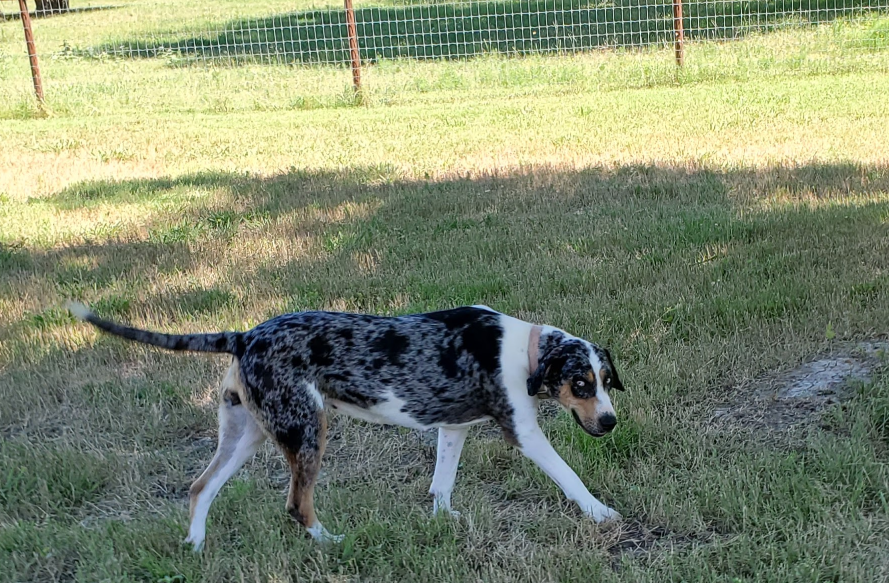 1e3b1d4c-fd91-4d21-8f4d-f96ad5e3b4ce/facility/d73b50ac-a245-4d72-bdf3-9d1d6e030228