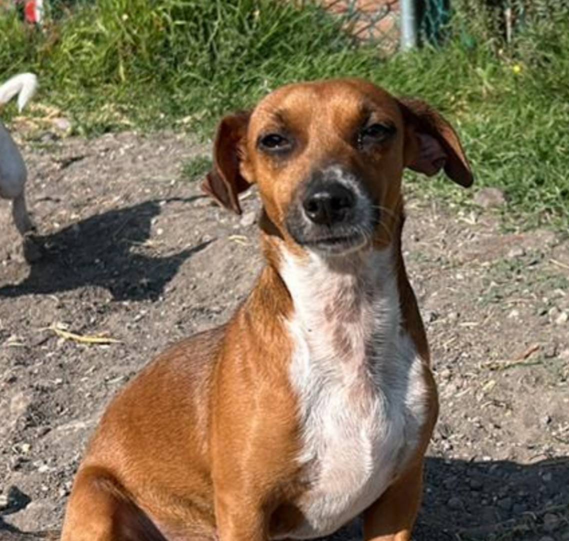 1f781c95-3a2a-4261-b5df-ffe8142d0262/listing/0df85db5-0147-4f02-937d-a80fe1b1adf7/466542bf-7881-4ac7-b4df-62036b9ead3a