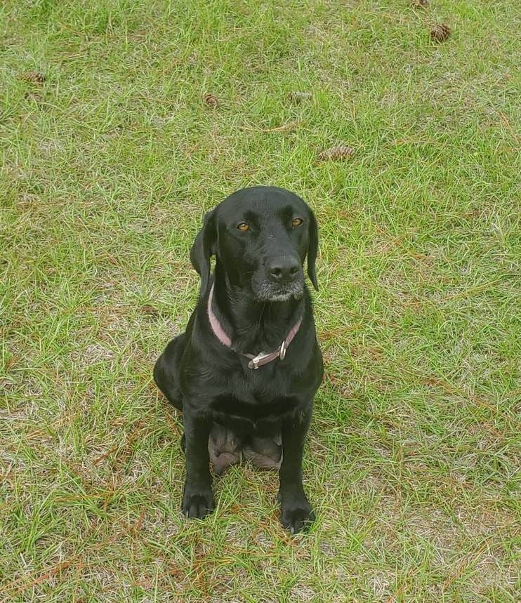 1fa837ee-d6cd-46e9-9e89-d8fd0cff63d7/facility/2507be9b-3af5-4d29-9e6c-91be466fe042