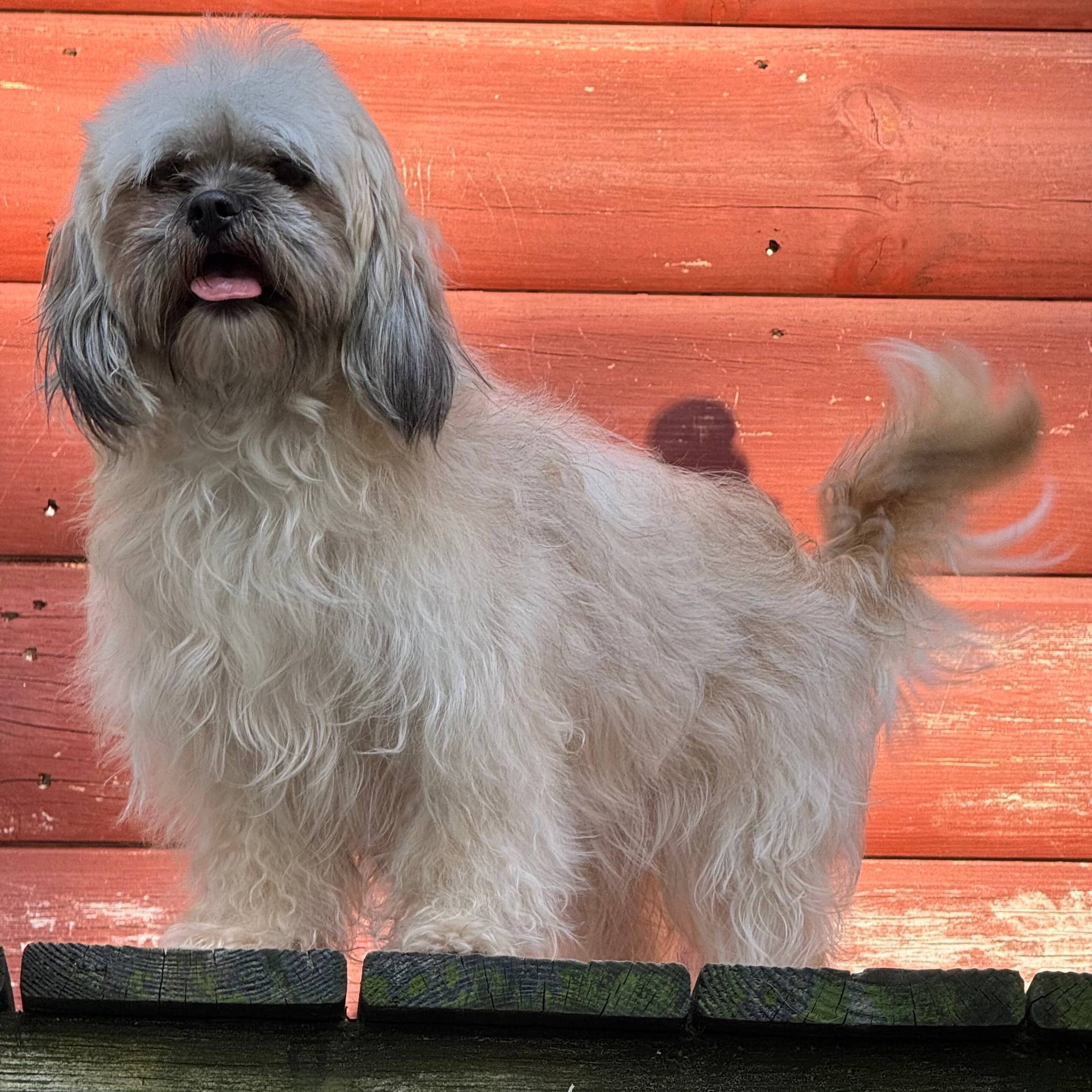 202680d9-acb6-425b-a3e0-41715dc91d90/listing/04967ac9-7810-4808-b668-6754180b03e3/34d5b43f-69d9-465a-8f99-6f878eddd60a