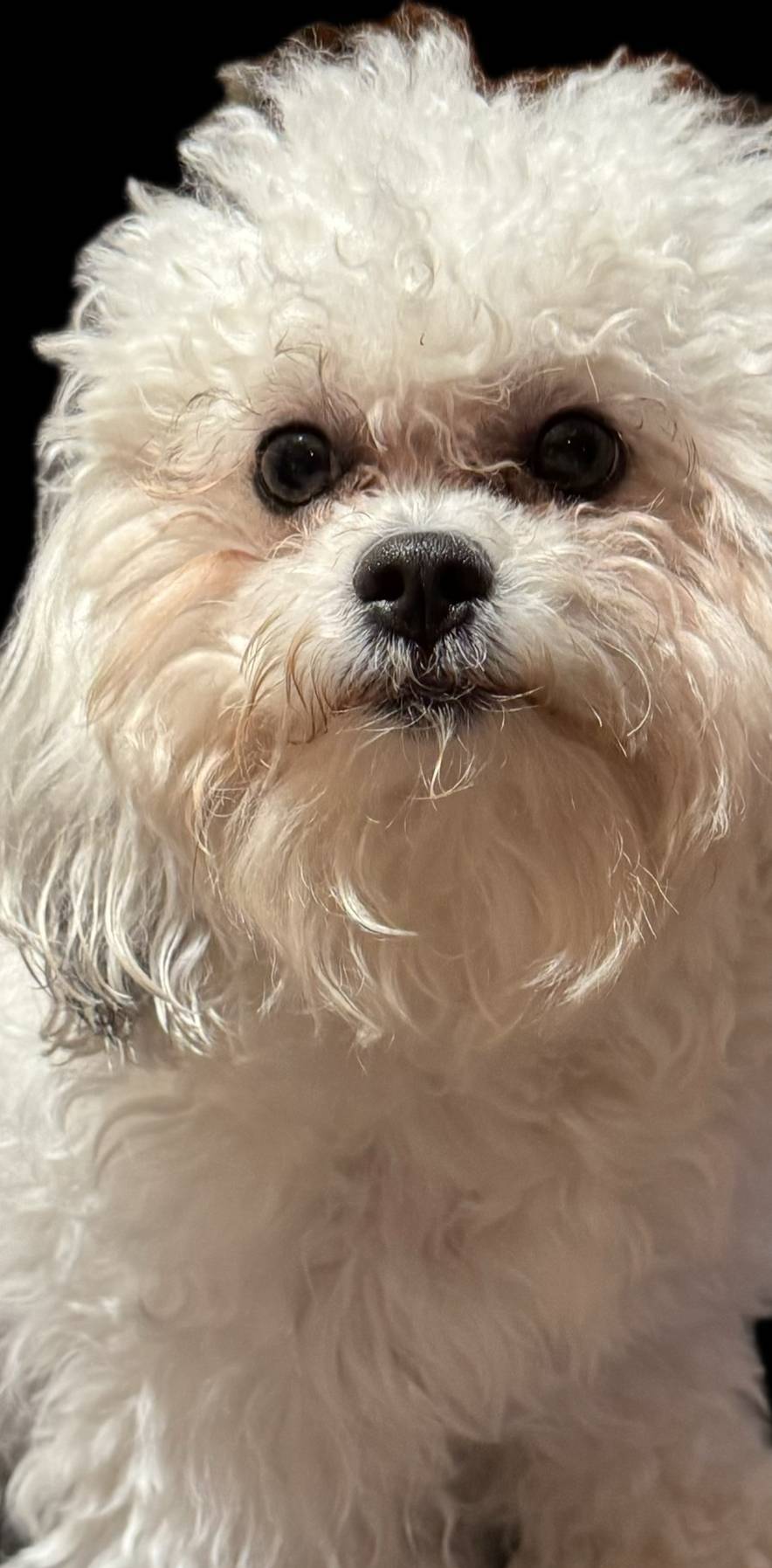 202680d9-acb6-425b-a3e0-41715dc91d90/listing/f826662d-eddf-46d3-8e21-a09c0173eb8f/6fabcf0e-ed72-4523-9c54-162d70848529