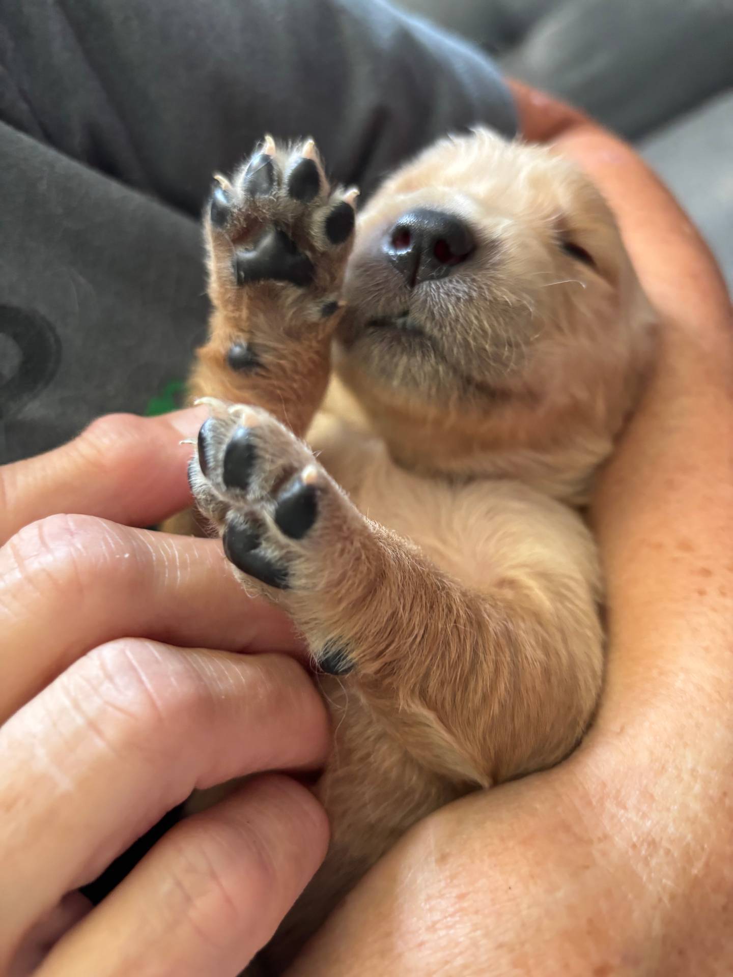 20a8ec71-3a8f-4ccf-a6b0-bdd33d1be0d8/facility/bf5a186d-5e94-4a36-952a-aea32becb34f