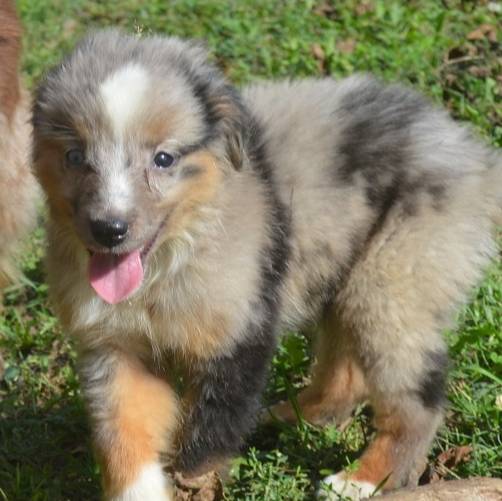 229800b6-ad0a-4f8b-821a-932cc3efd100/listing/6643a716-e7cb-4a42-ab6f-3b26b545825c/18ddfc1e-f2bb-4dbf-9078-4394f1c7370c