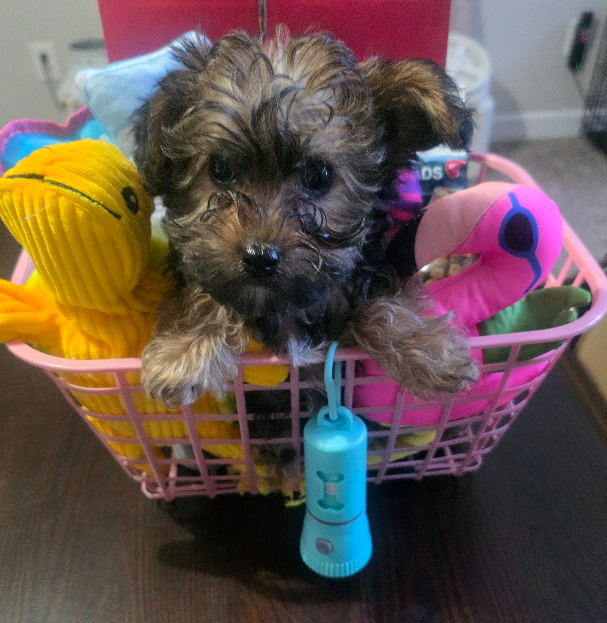 23b719db-517d-4255-b9cc-a01df090a5d0/facility/98177b22-ffc9-42d3-85b7-dde8ae266f3a