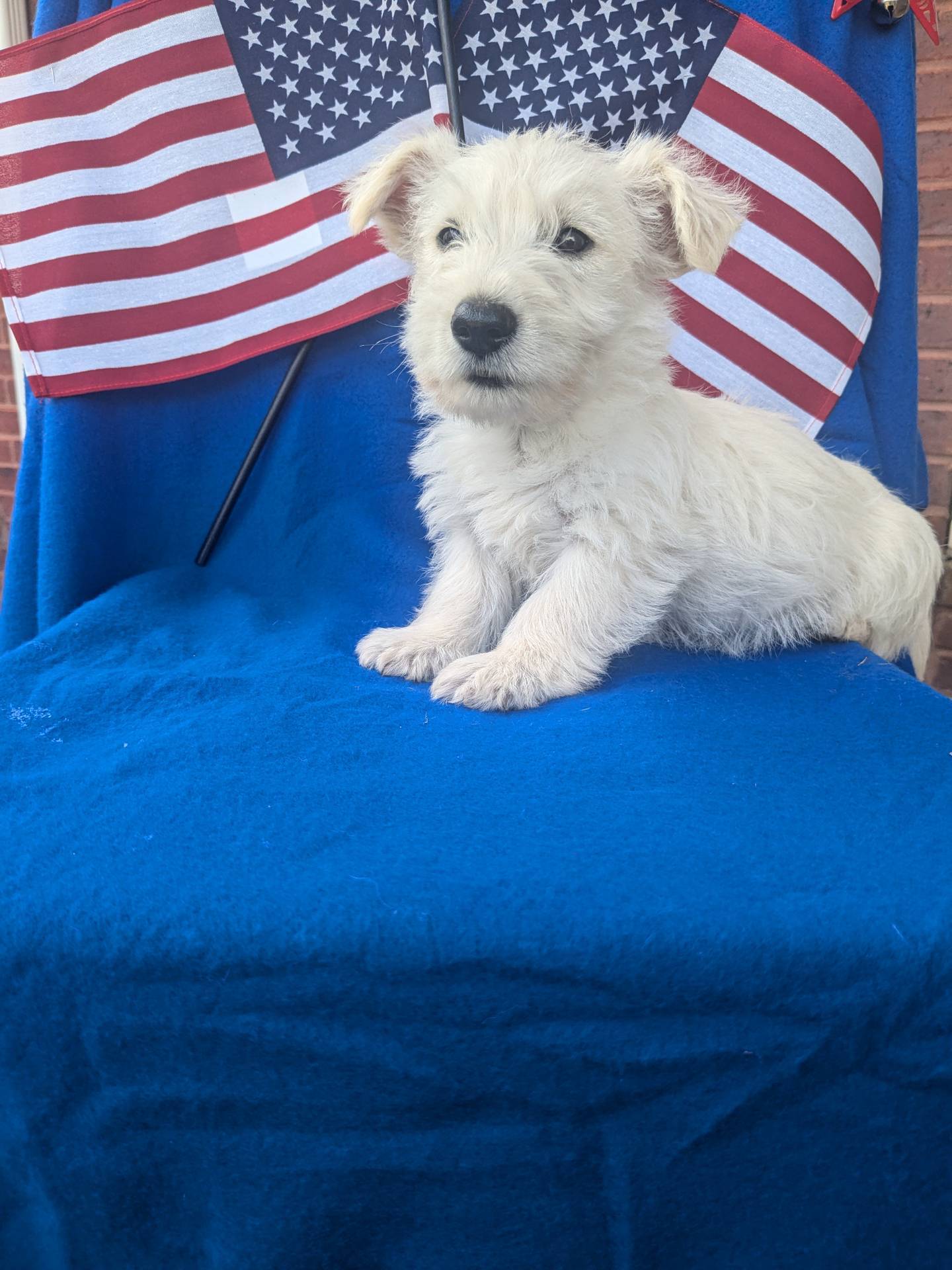 242b9350-3828-462d-91ae-abacd62f5255/listing/2998c365-0f82-4f3c-b677-40517cf2792d/3728e897-be6c-482b-86fd-f31e5cdca9fd