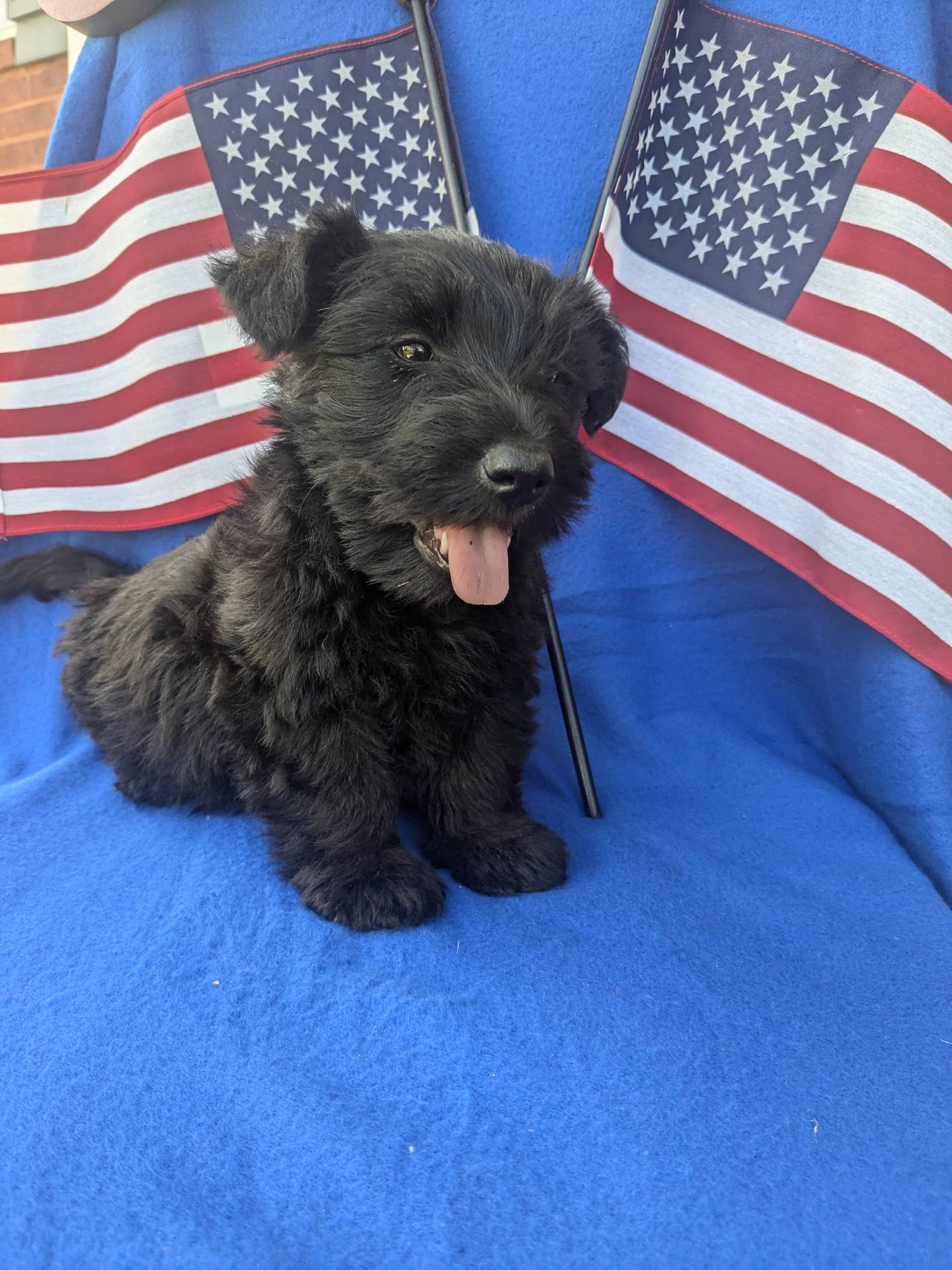 242b9350-3828-462d-91ae-abacd62f5255/listing/963e60ec-af04-4033-87cd-523bb270f742/1f920867-6c76-4ee1-848e-f6d367905765