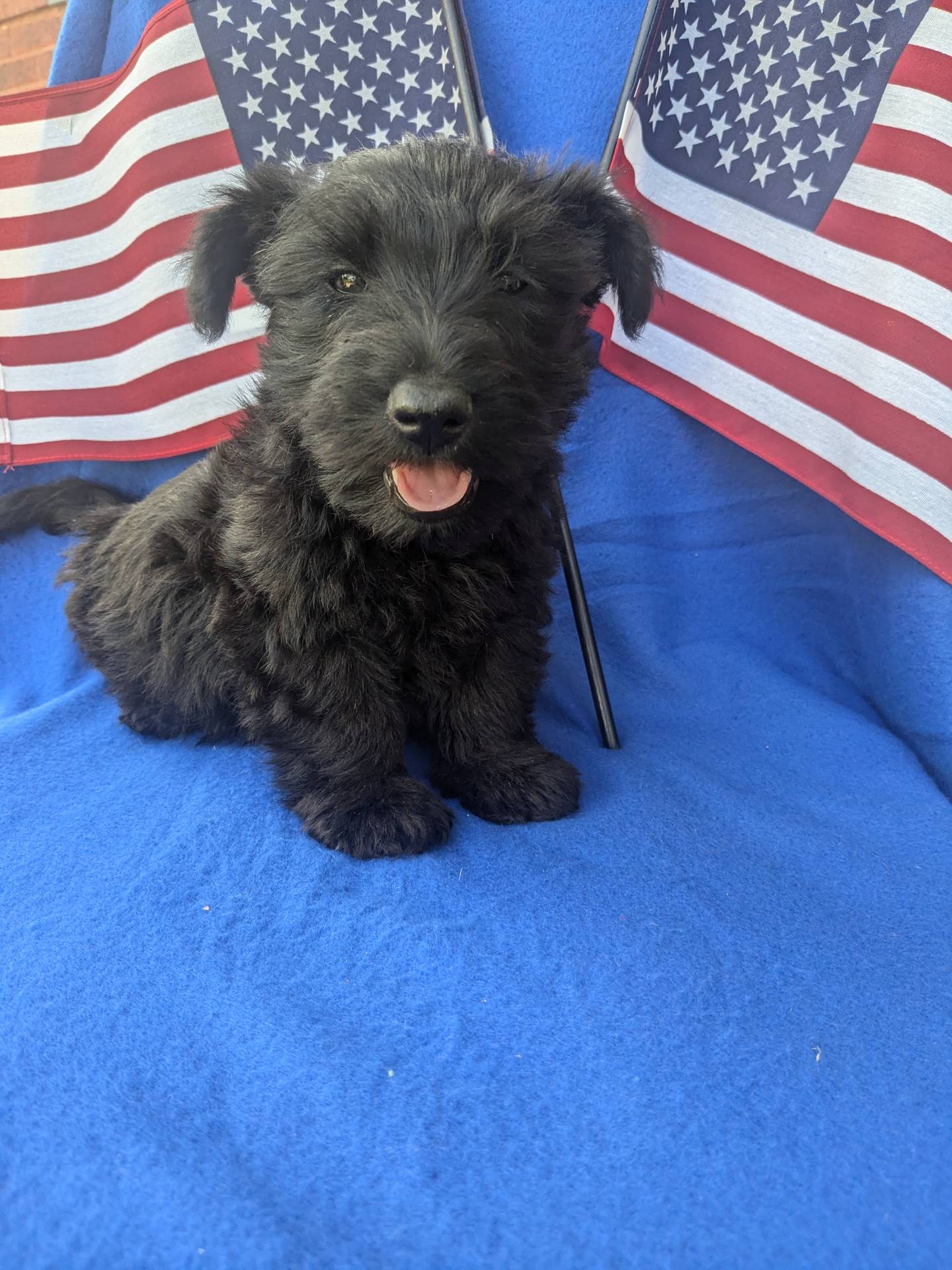 242b9350-3828-462d-91ae-abacd62f5255/listing/963e60ec-af04-4033-87cd-523bb270f742/5f65c8af-6c9a-4482-ba46-c603cc816658