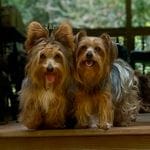 268da4cd-747c-4d3c-9cae-f57b3d8235f6/facility/039e83d4-3d15-4b72-bd7b-541a15021b47