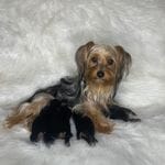 268da4cd-747c-4d3c-9cae-f57b3d8235f6/facility/4498843e-8461-4928-b391-e2f99c4a79a3