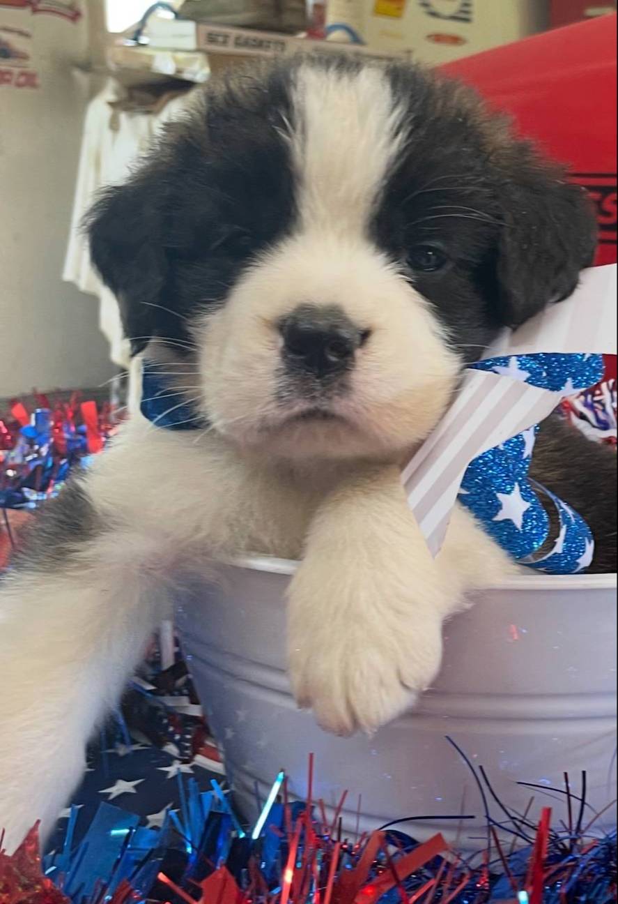 28978e14-6727-4ff2-8cb8-0859ec36df3b/listing/001704fd-854e-4034-81ac-5912cd936e3f/1f635133-23c5-4a2a-832e-96536bae84f9