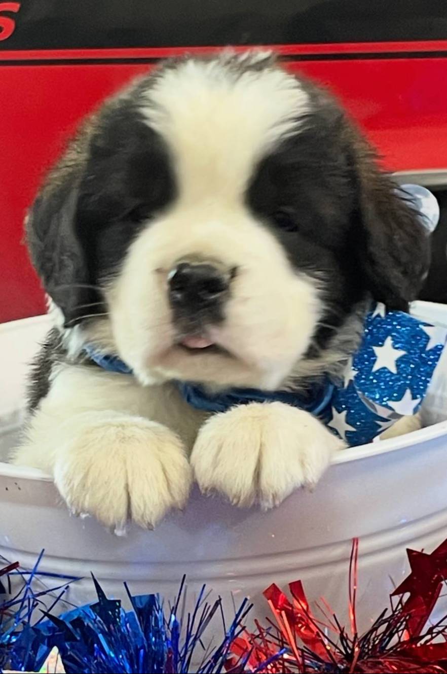 28978e14-6727-4ff2-8cb8-0859ec36df3b/listing/001704fd-854e-4034-81ac-5912cd936e3f/4c064010-2437-456a-be50-68ca86ab9080