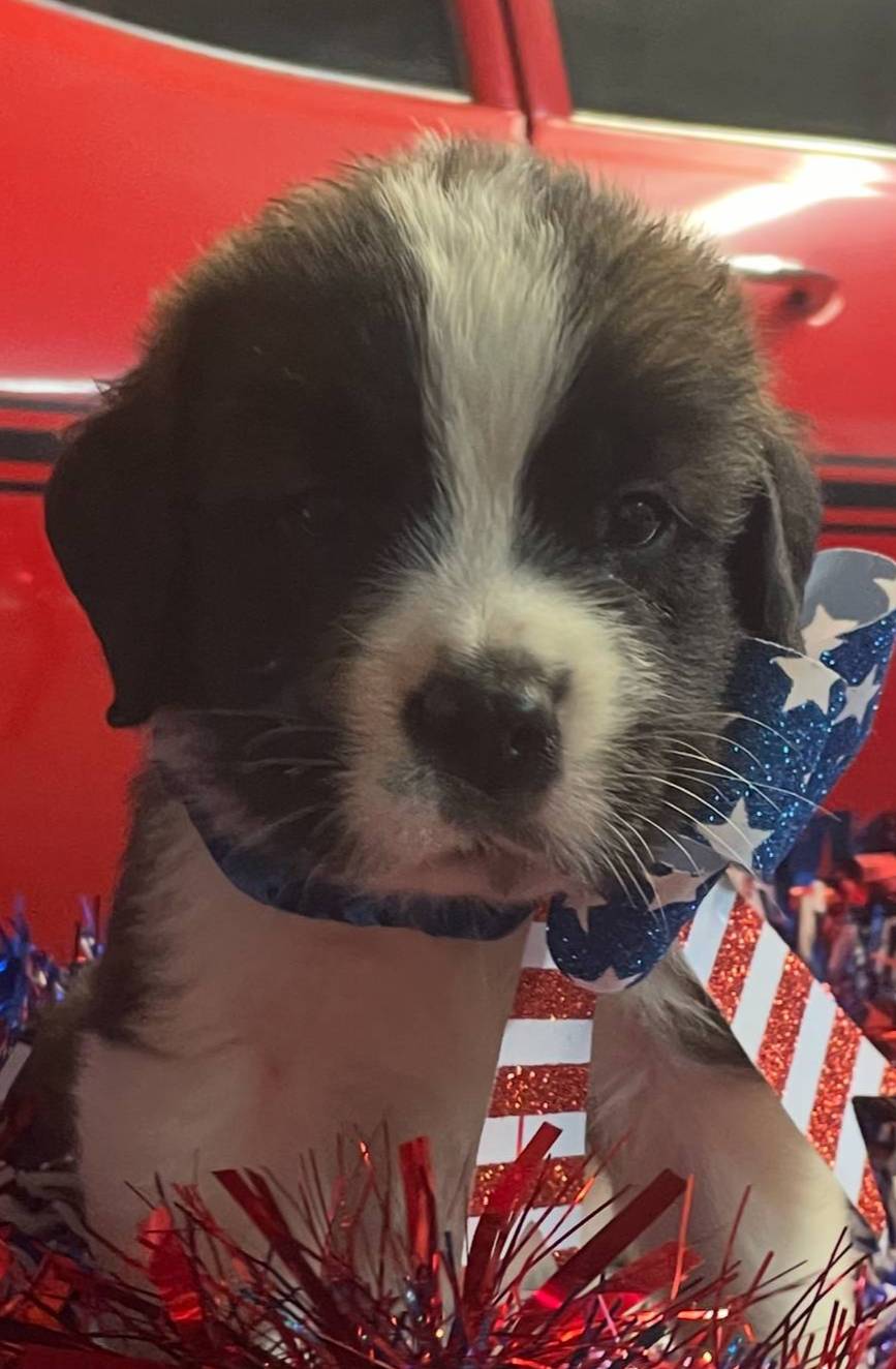 28978e14-6727-4ff2-8cb8-0859ec36df3b/listing/001704fd-854e-4034-81ac-5912cd936e3f/5ce48157-0f63-4d82-b261-d00d83a03884