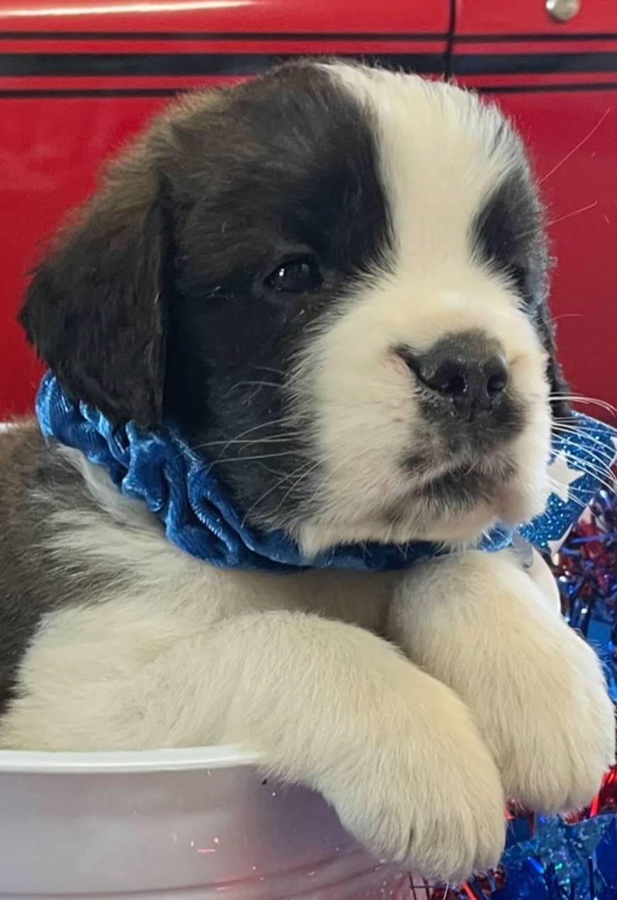 28978e14-6727-4ff2-8cb8-0859ec36df3b/listing/001704fd-854e-4034-81ac-5912cd936e3f/63432ca6-b363-49b4-898f-4d01a05c13ce