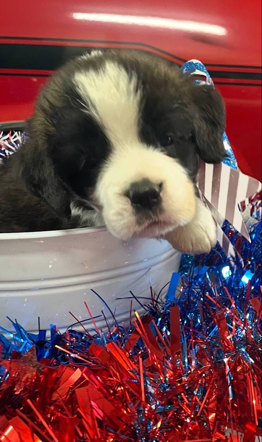 28978e14-6727-4ff2-8cb8-0859ec36df3b/listing/001704fd-854e-4034-81ac-5912cd936e3f/926f04f7-f457-43f9-9db5-be9c67c35c14