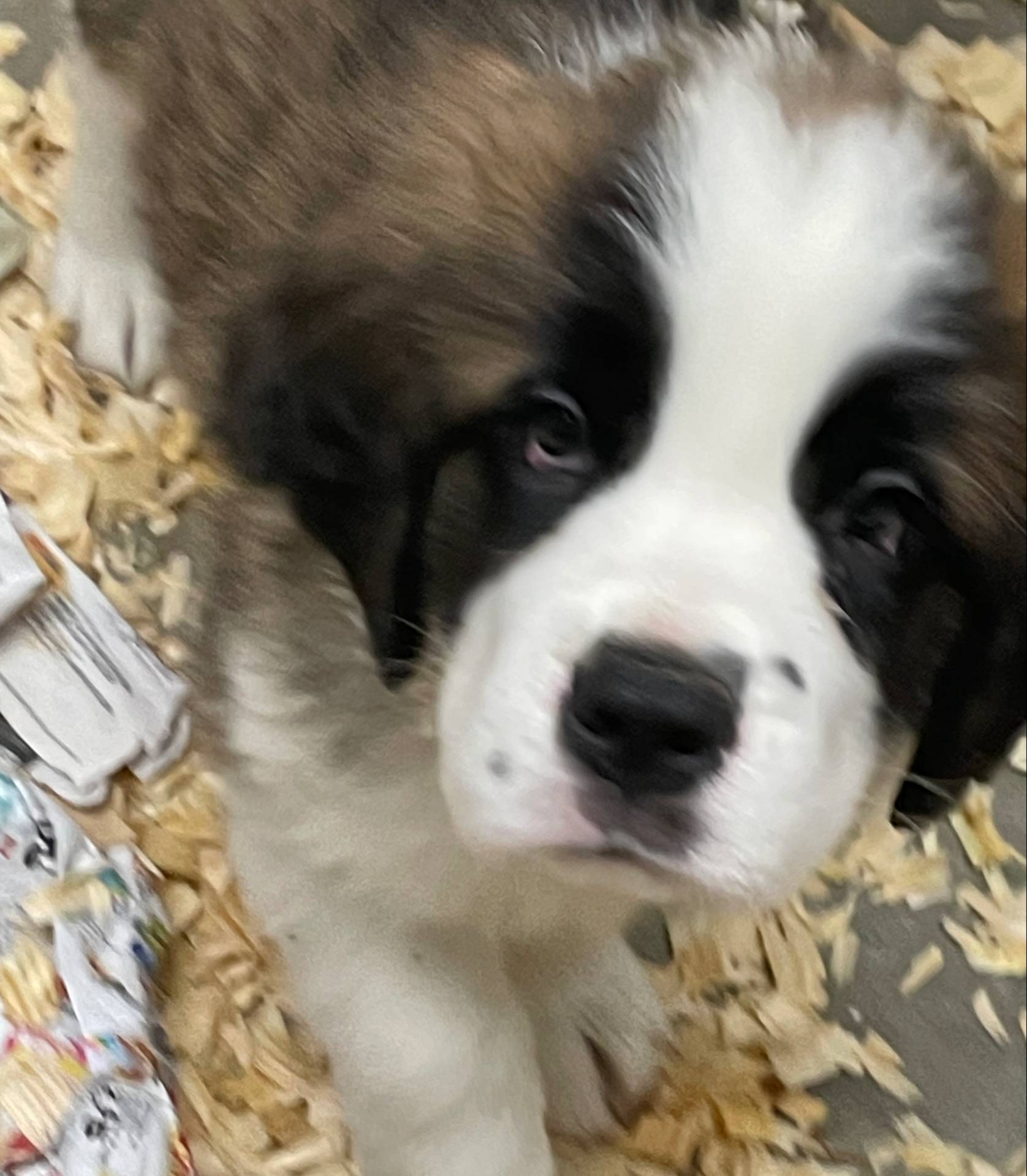 28978e14-6727-4ff2-8cb8-0859ec36df3b/listing/001704fd-854e-4034-81ac-5912cd936e3f/a13802fa-44e4-430b-8be8-c9e0e030841c