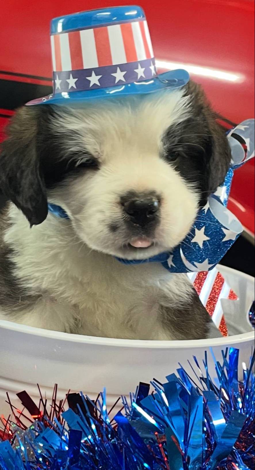 28978e14-6727-4ff2-8cb8-0859ec36df3b/listing/001704fd-854e-4034-81ac-5912cd936e3f/dc14436b-3cc2-49a1-a8fe-fccd5a62d426