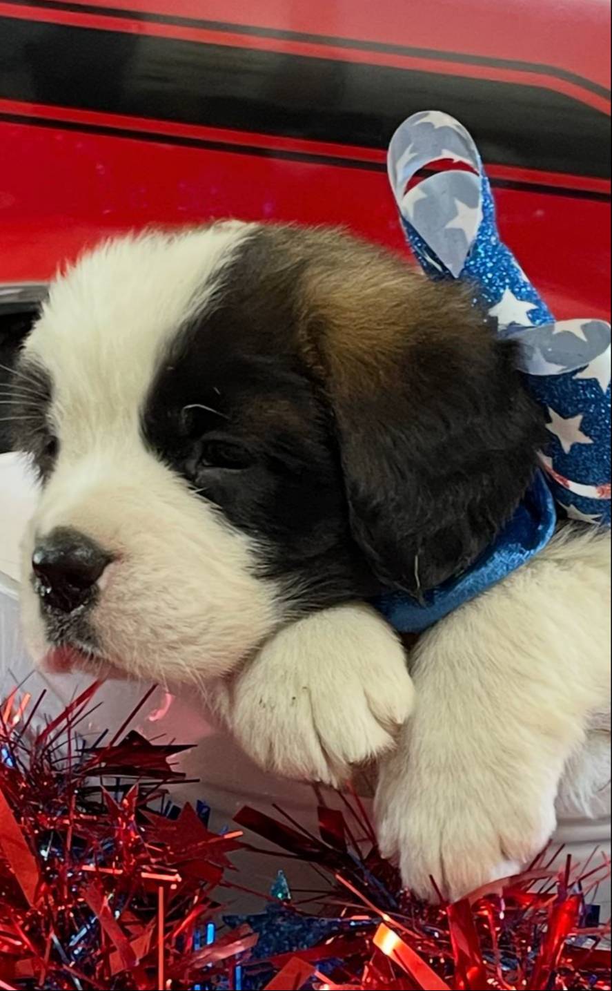 28978e14-6727-4ff2-8cb8-0859ec36df3b/listing/001704fd-854e-4034-81ac-5912cd936e3f/ee653f5c-58e6-4aa0-a74a-72d95415c3f4