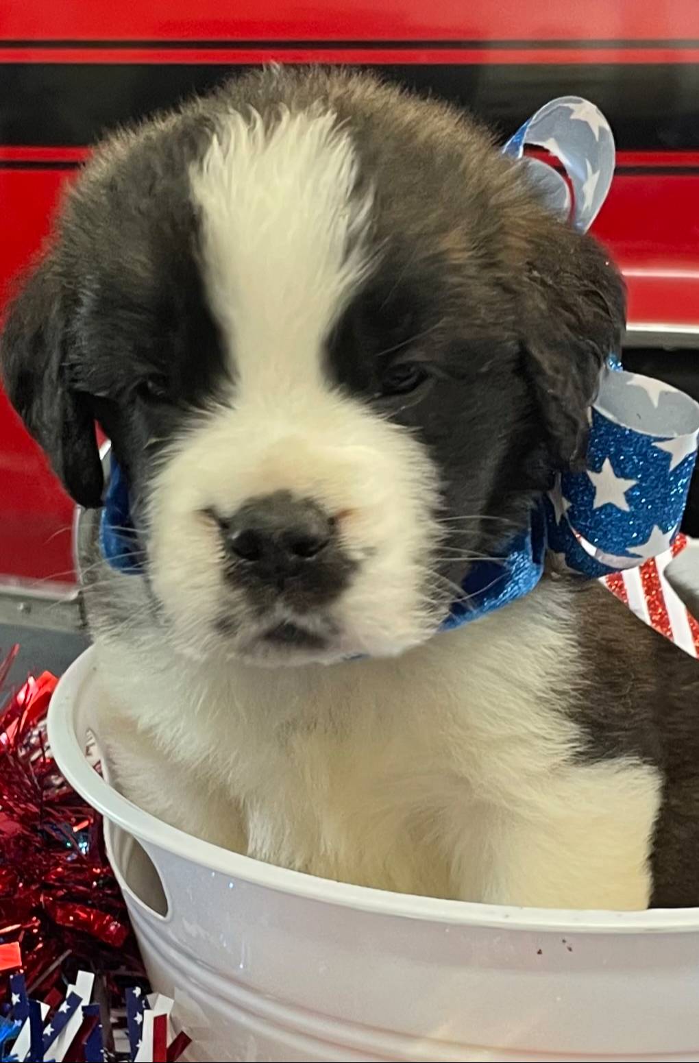 28978e14-6727-4ff2-8cb8-0859ec36df3b/listing/ddd3fd40-9bb8-4709-8f48-2a6da63c10c0/1009e71c-70aa-44f9-87b9-85e7bc4b5537