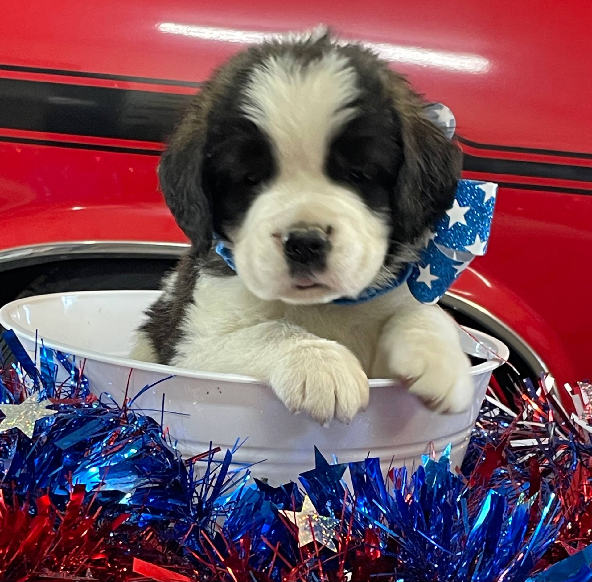 28978e14-6727-4ff2-8cb8-0859ec36df3b/listing/ddd3fd40-9bb8-4709-8f48-2a6da63c10c0/237cddca-3ac3-4589-b6dc-e2f3fda1b8ce