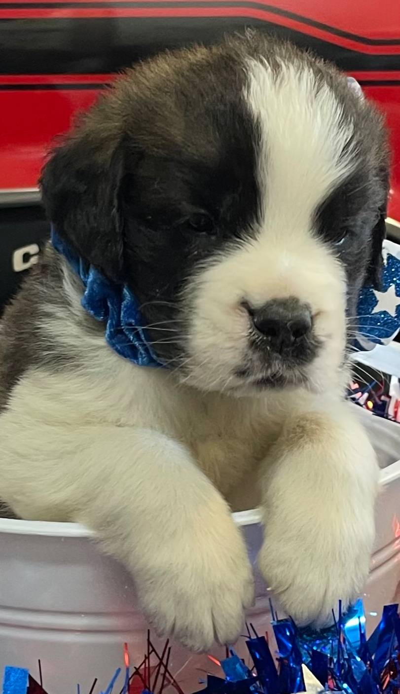 28978e14-6727-4ff2-8cb8-0859ec36df3b/listing/ddd3fd40-9bb8-4709-8f48-2a6da63c10c0/46cddc4c-0c46-4186-ab58-925dfa5f13bc