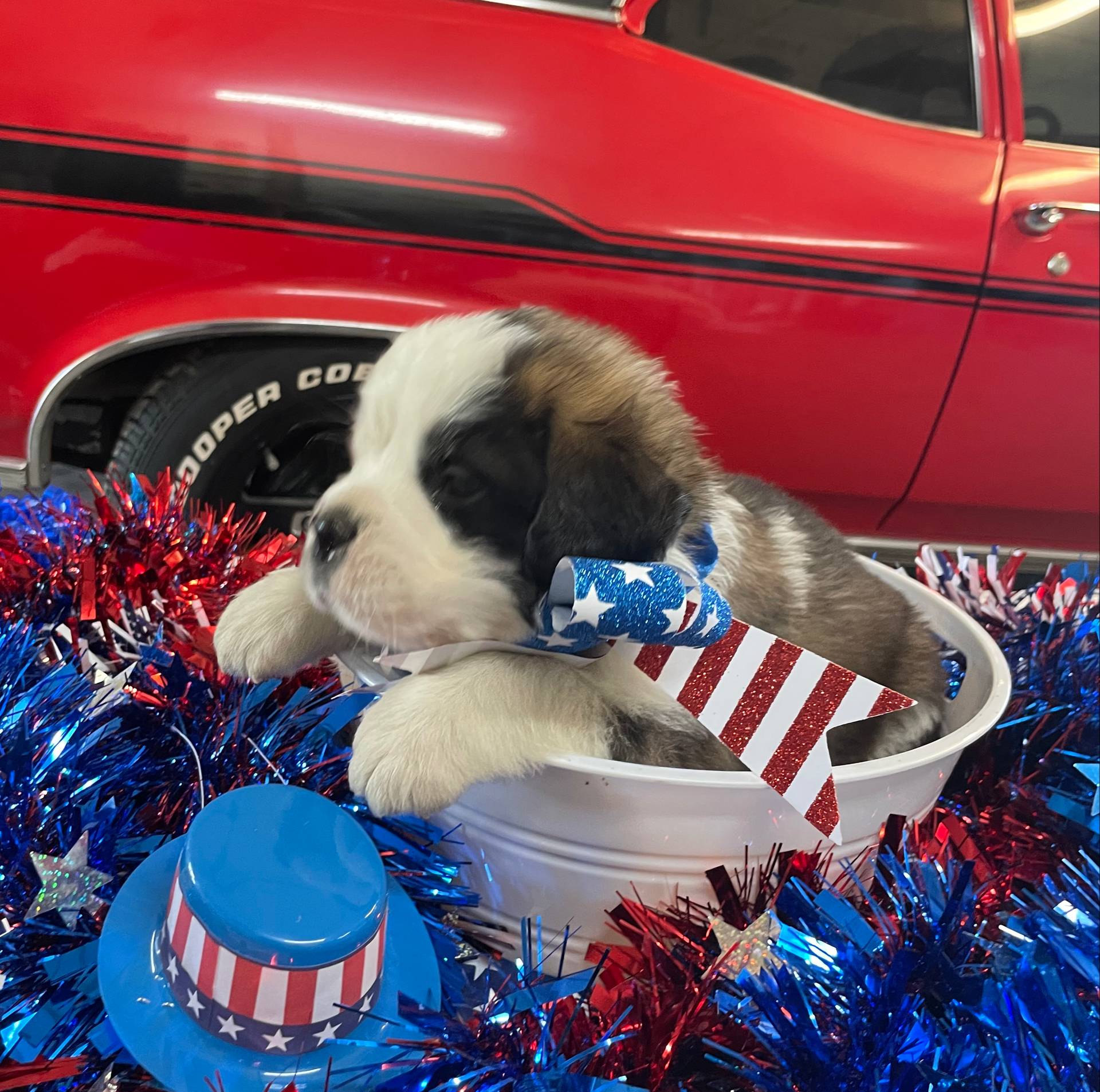 28978e14-6727-4ff2-8cb8-0859ec36df3b/listing/ddd3fd40-9bb8-4709-8f48-2a6da63c10c0/550f263a-9353-4ea2-b956-5d89053111ba