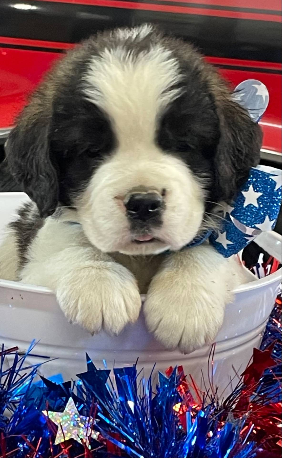 28978e14-6727-4ff2-8cb8-0859ec36df3b/listing/ddd3fd40-9bb8-4709-8f48-2a6da63c10c0/6e19106c-1491-433e-9ace-21c50009b68d