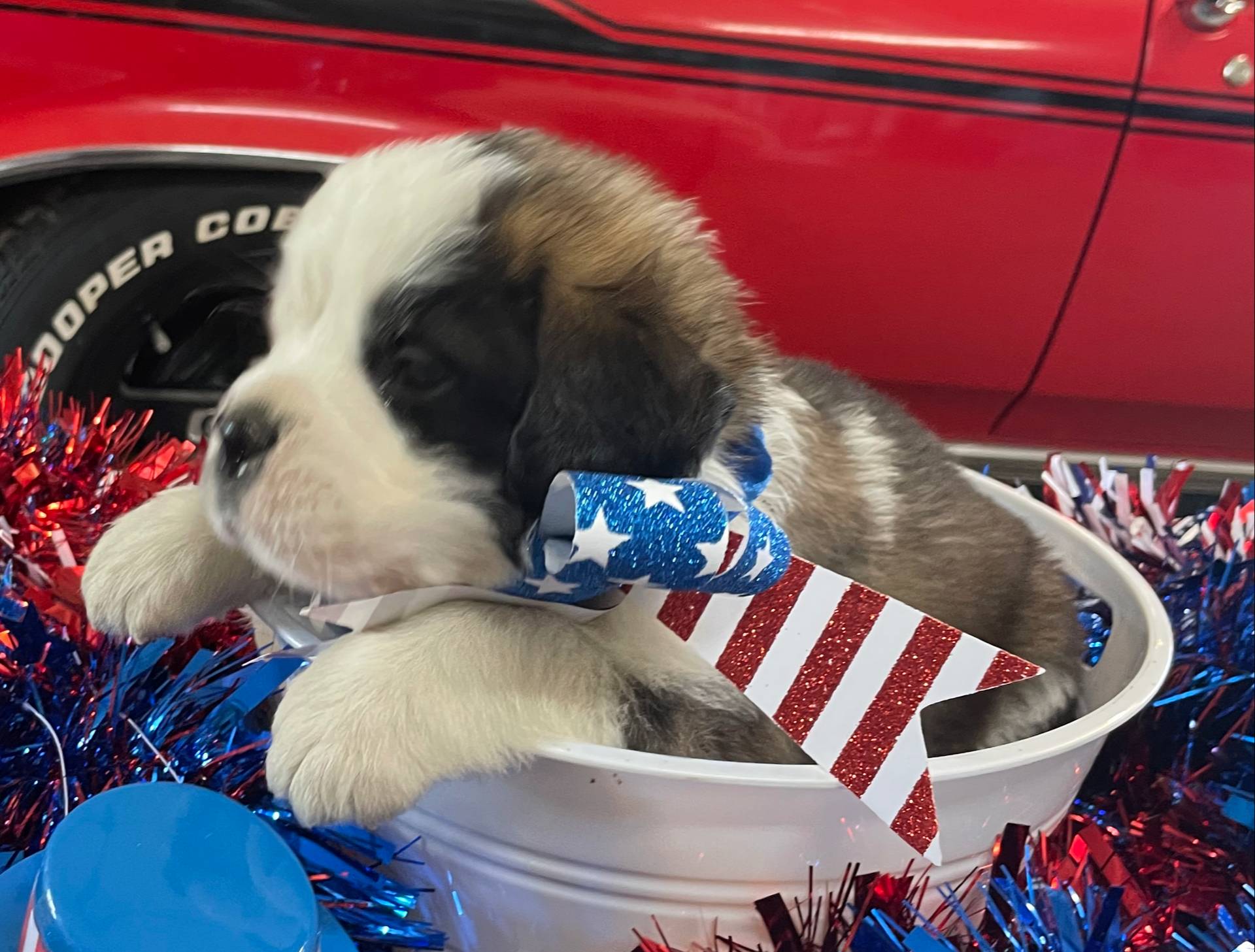 28978e14-6727-4ff2-8cb8-0859ec36df3b/listing/ddd3fd40-9bb8-4709-8f48-2a6da63c10c0/a5e339db-b82a-48ac-a2be-fe947f45a23b