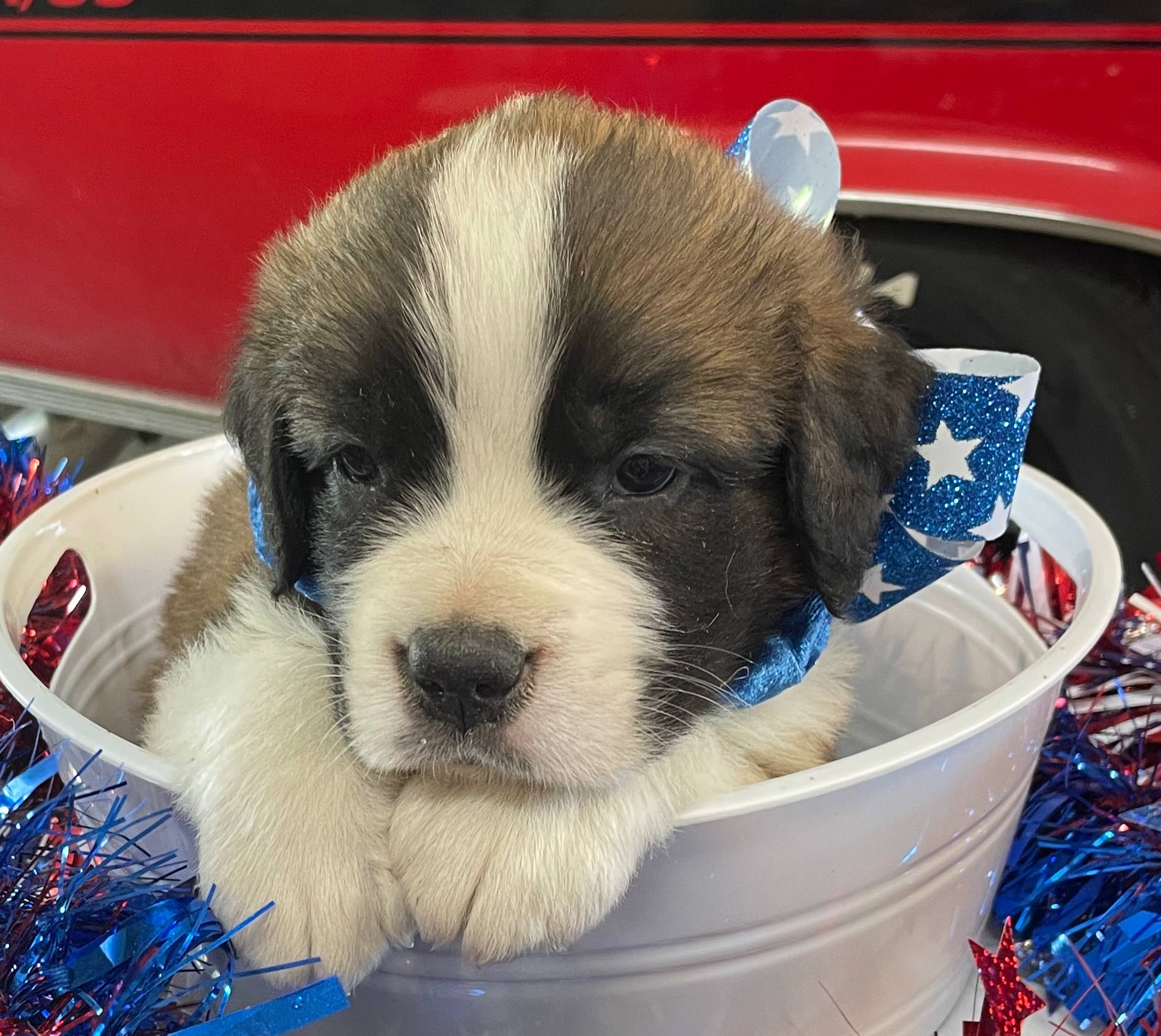 28978e14-6727-4ff2-8cb8-0859ec36df3b/listing/ddd3fd40-9bb8-4709-8f48-2a6da63c10c0/bbdf763c-6b80-4861-a6e8-41e4025f8bfa