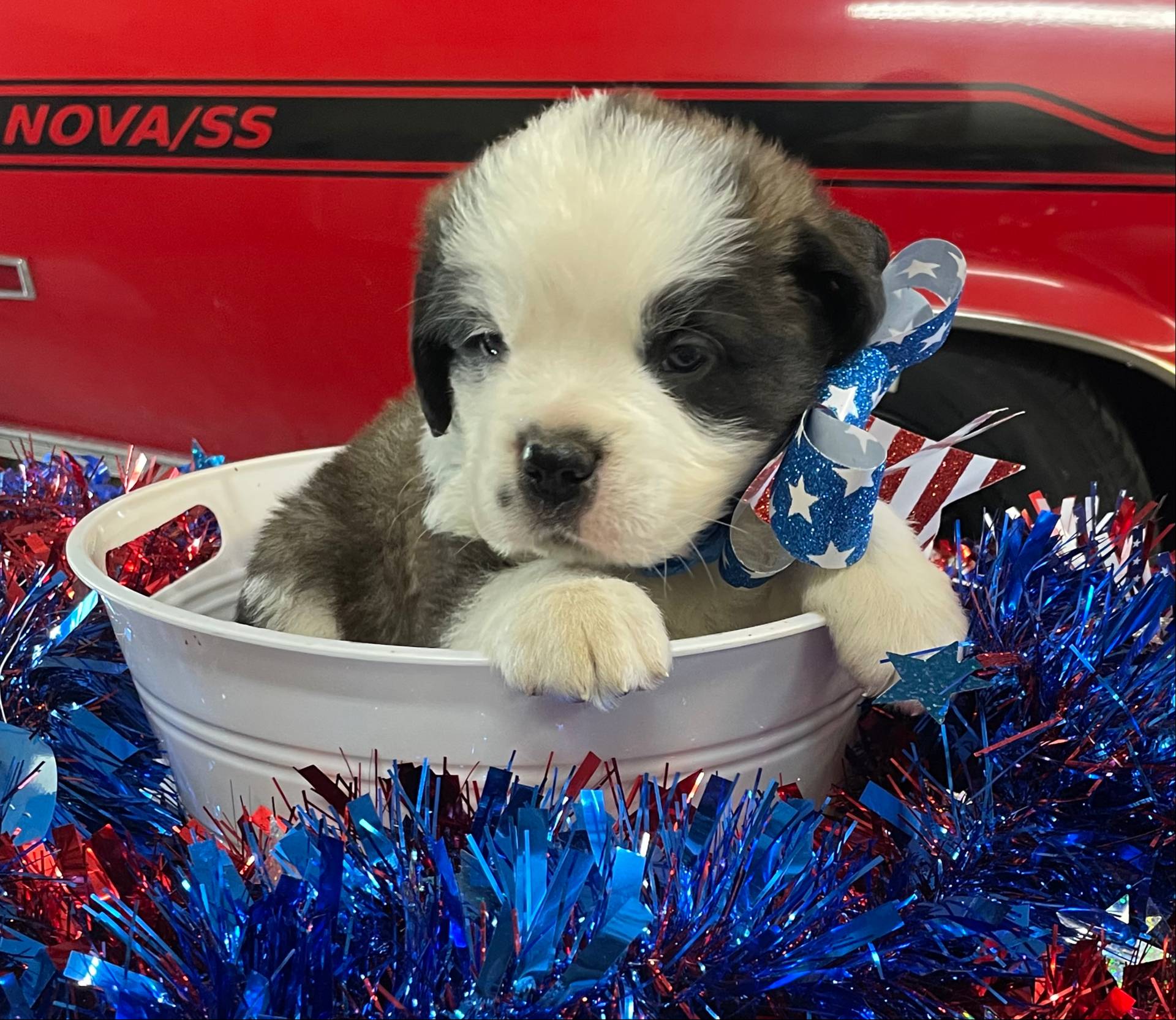 28978e14-6727-4ff2-8cb8-0859ec36df3b/listing/ddd3fd40-9bb8-4709-8f48-2a6da63c10c0/be4551ed-4e0d-4f84-bc89-fc85e42e7181