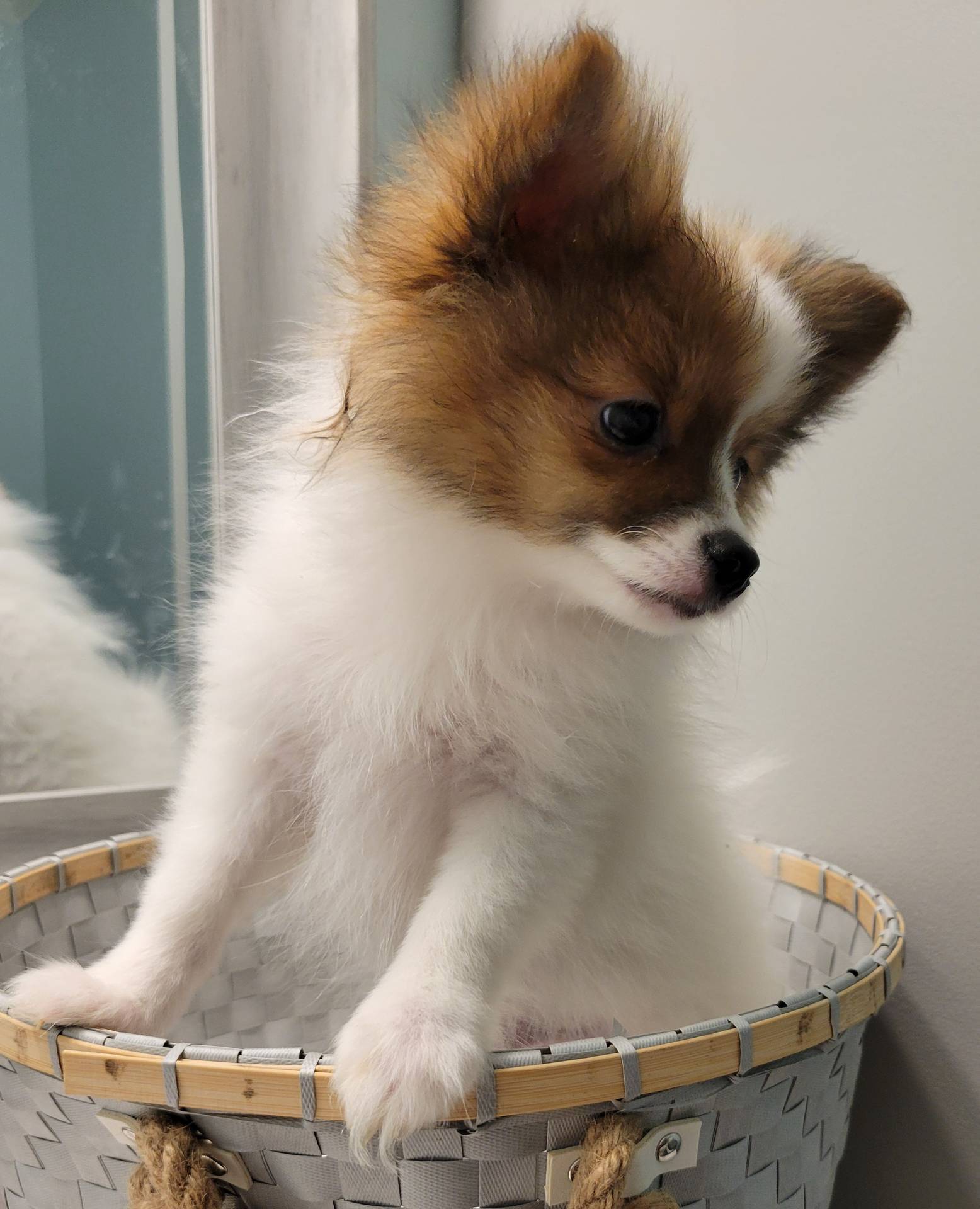 2b3c004f-f618-4c8a-8c88-94484c0a8f71/listing/86e5542a-584d-4737-9b94-116961f90401/796ff777-a1cc-4d97-bc5e-fb2c636615e3