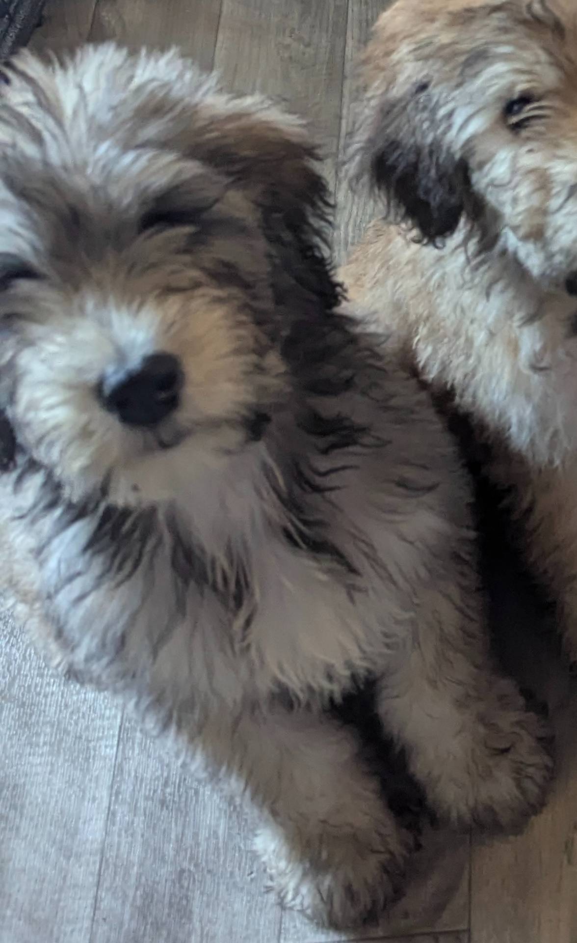 BIG (Bill) SALE ENDS soon