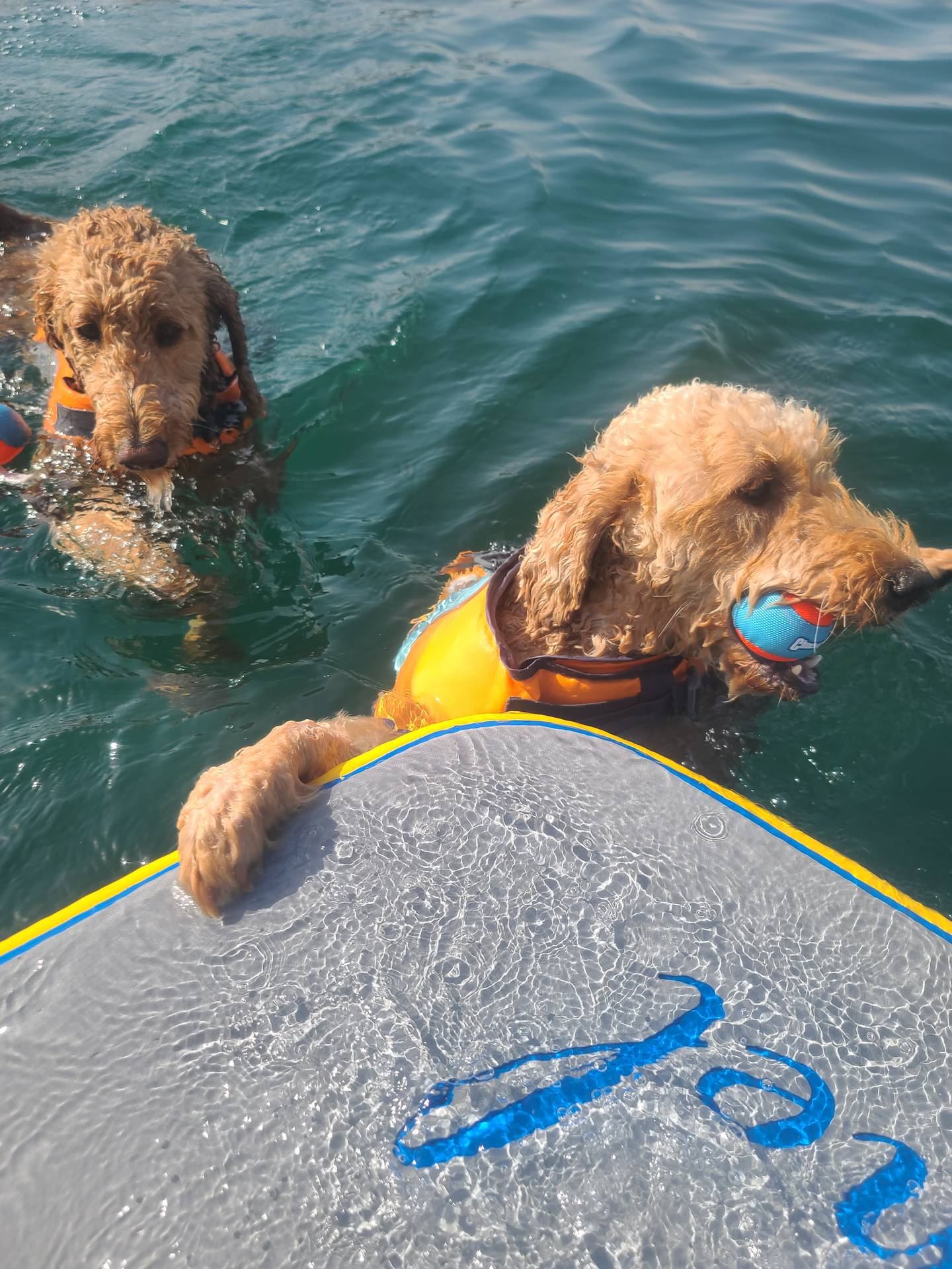 2e879354-8b0b-483e-bc32-10dd1508767c/facility/f5d6cfa3-2894-4907-9ba5-083dcd623a40