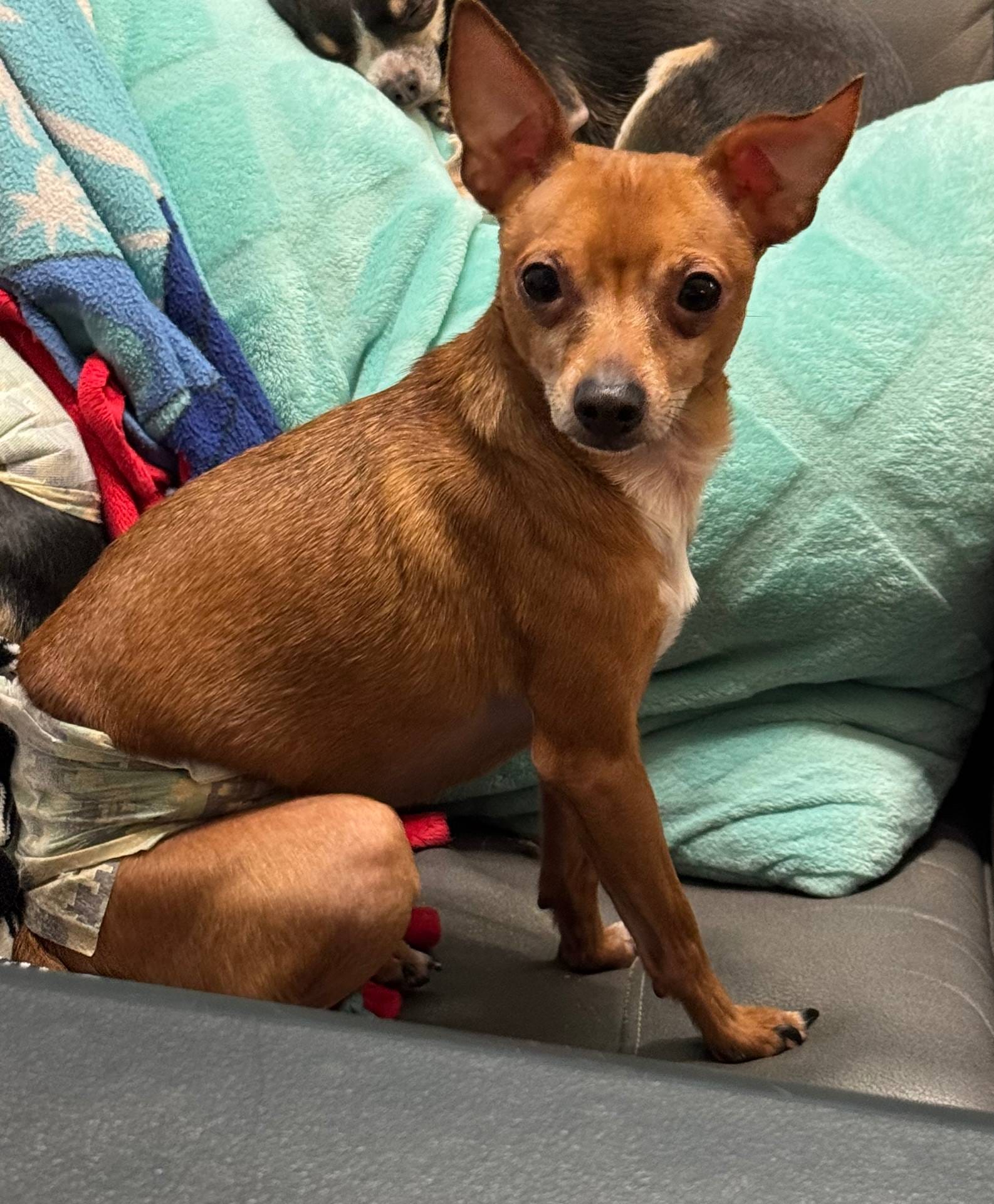 2f71bc0f-50ae-464b-bf9d-b351bb5f2bfe/listing/14a263a5-7cc7-4f50-a23b-20971342b549/36c2c640-2dab-4820-80d2-7c535ea775a5