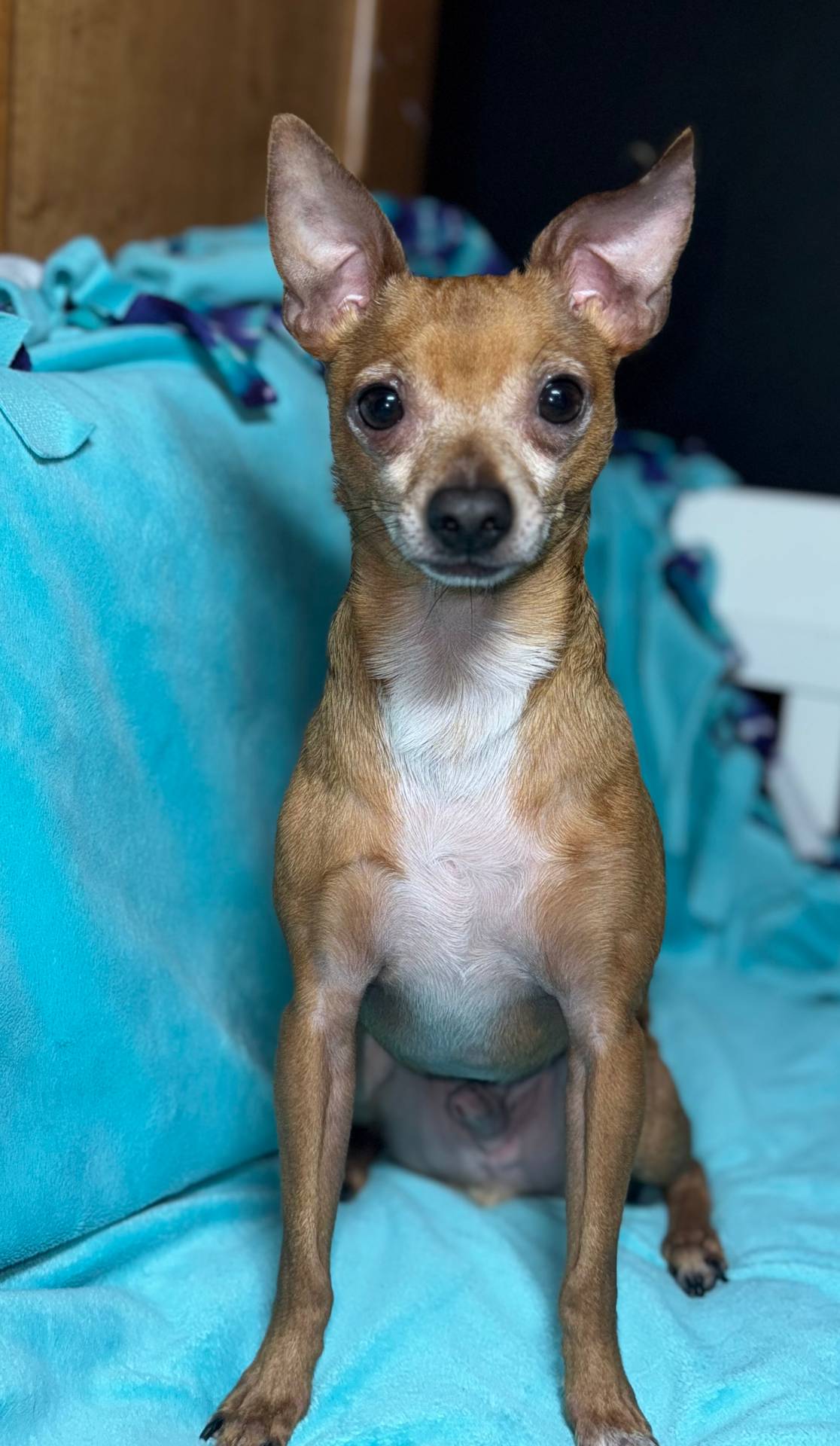 2f71bc0f-50ae-464b-bf9d-b351bb5f2bfe/listing/14a263a5-7cc7-4f50-a23b-20971342b549/76a6666e-741f-4a33-94cc-84a004a004e2