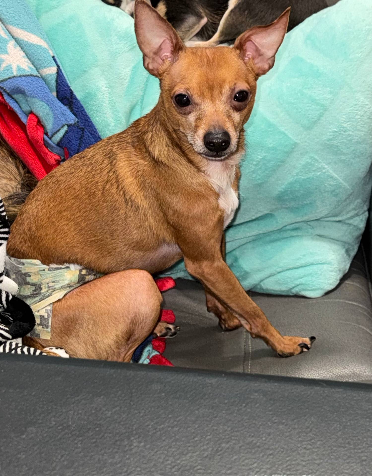 2f71bc0f-50ae-464b-bf9d-b351bb5f2bfe/listing/14a263a5-7cc7-4f50-a23b-20971342b549/b5dc1aab-e3ac-4166-af29-8c59666e2589