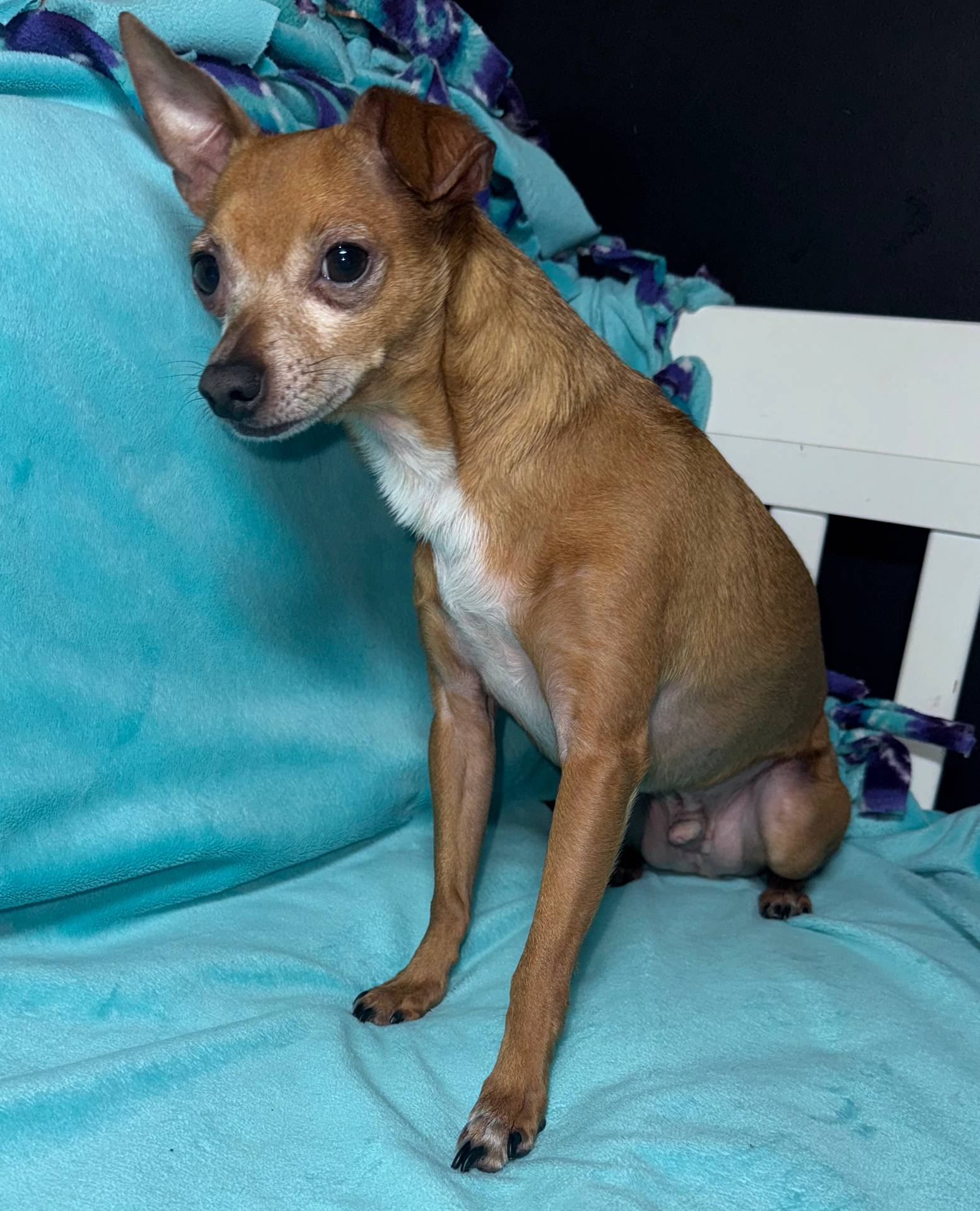 2f71bc0f-50ae-464b-bf9d-b351bb5f2bfe/listing/14a263a5-7cc7-4f50-a23b-20971342b549/e405b325-a182-43bb-a6fd-cba3ace78836